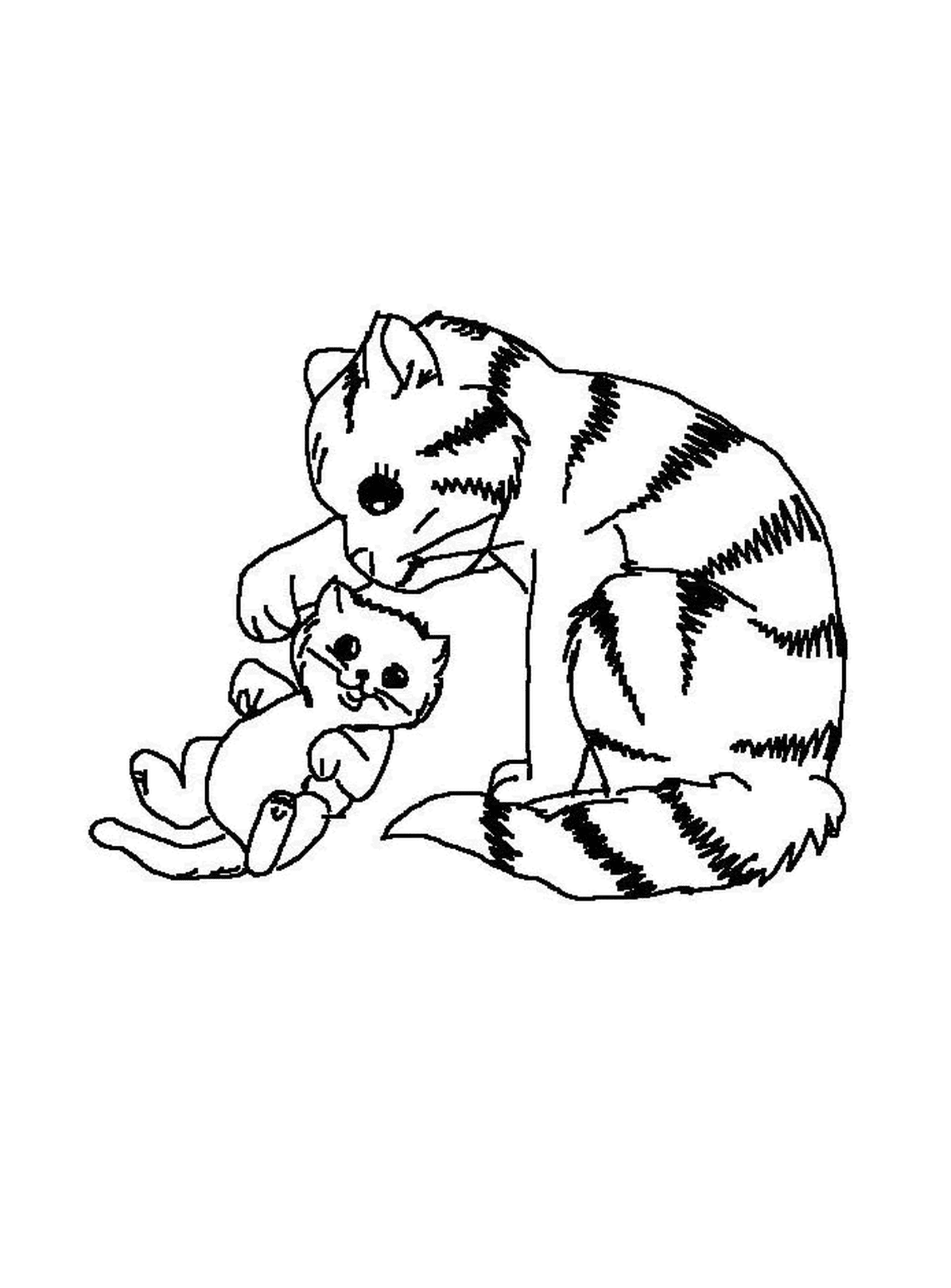  Um gato brinca com um gatinho 