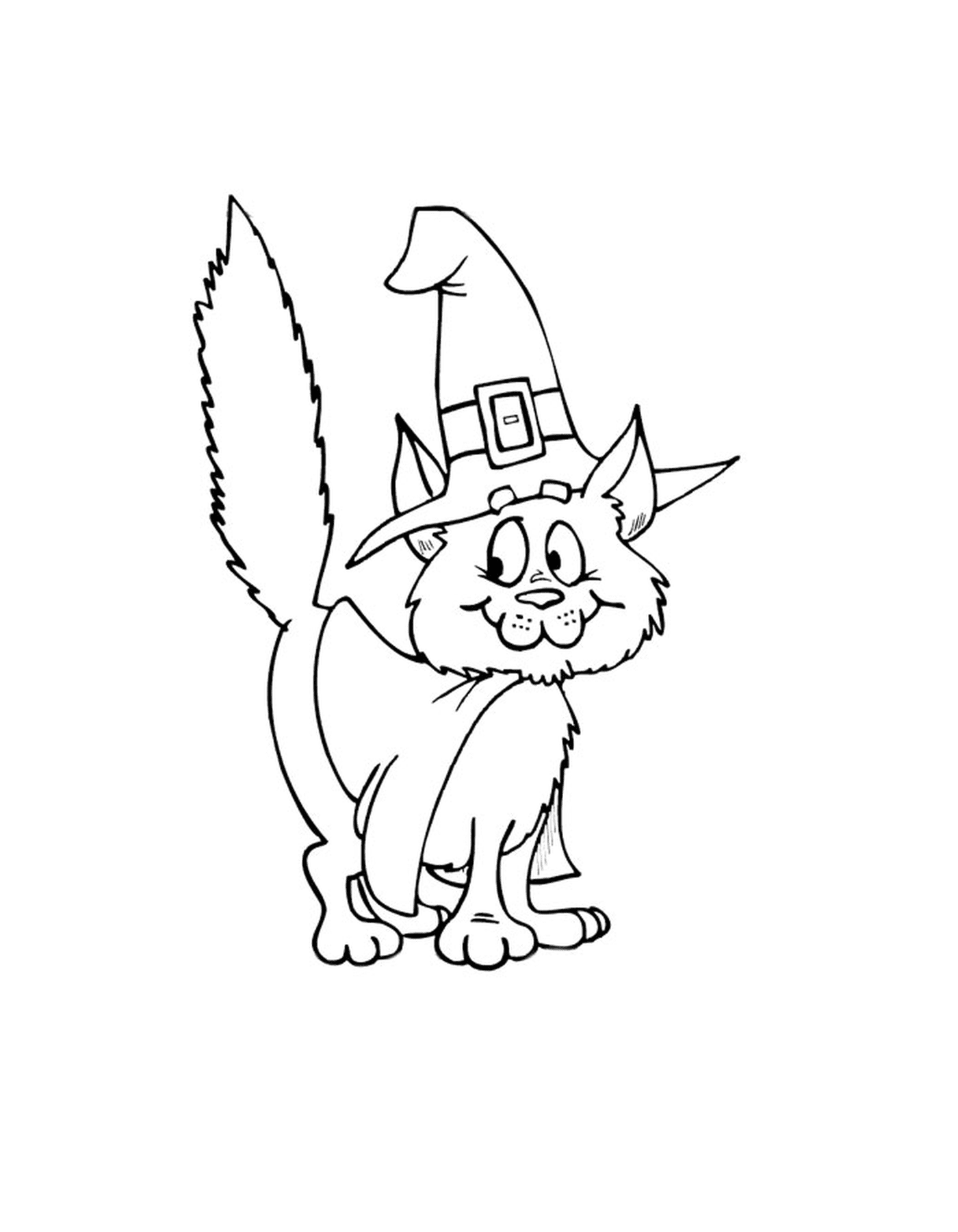  Um gato para o Halloween com um chapéu de bruxa 