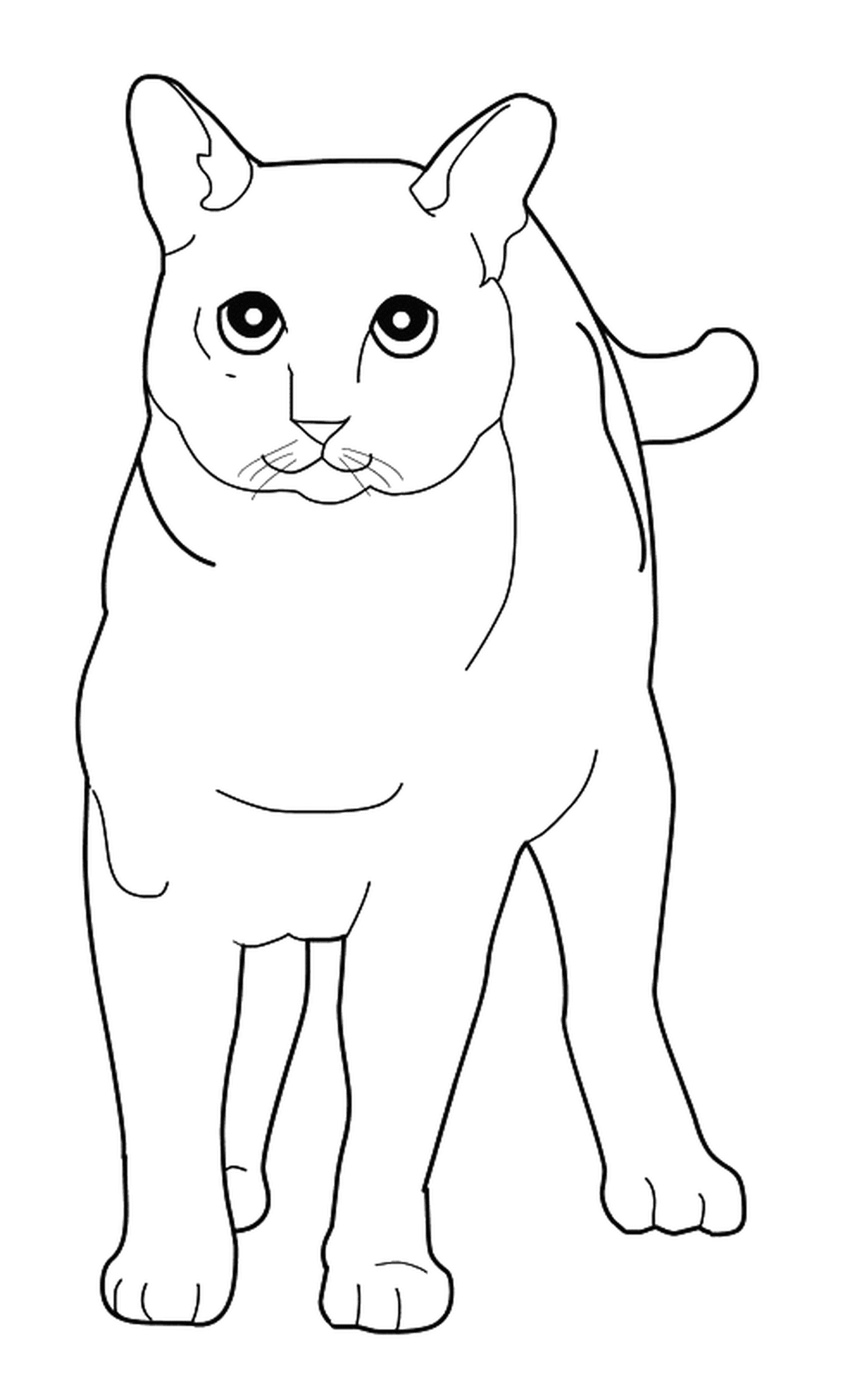  Akinese, um gato de pé em um desenho on-line 