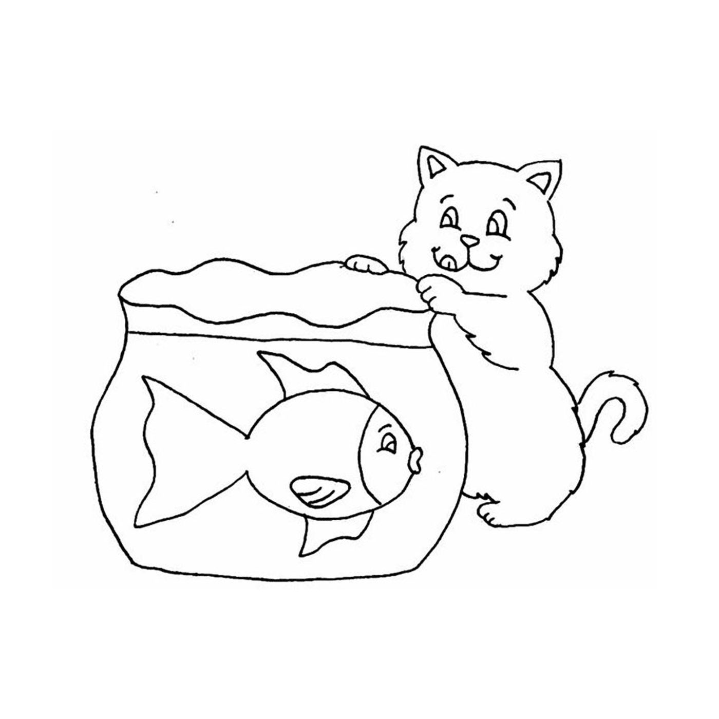  Um gato observando um peixe em uma jarra 