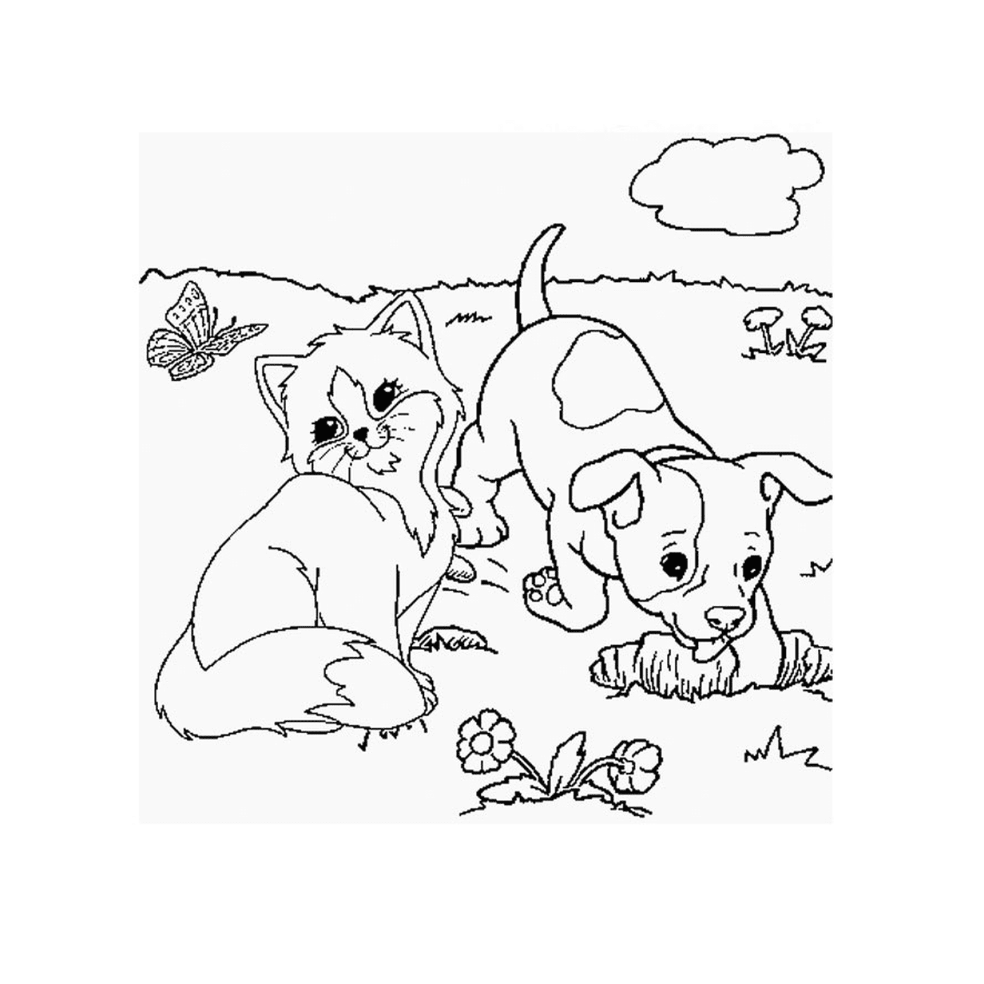  一只小狗和一只小猫在草地上玩 