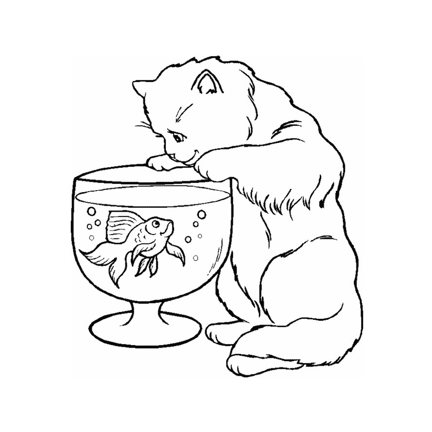  一只猫在罐子里看鱼 
