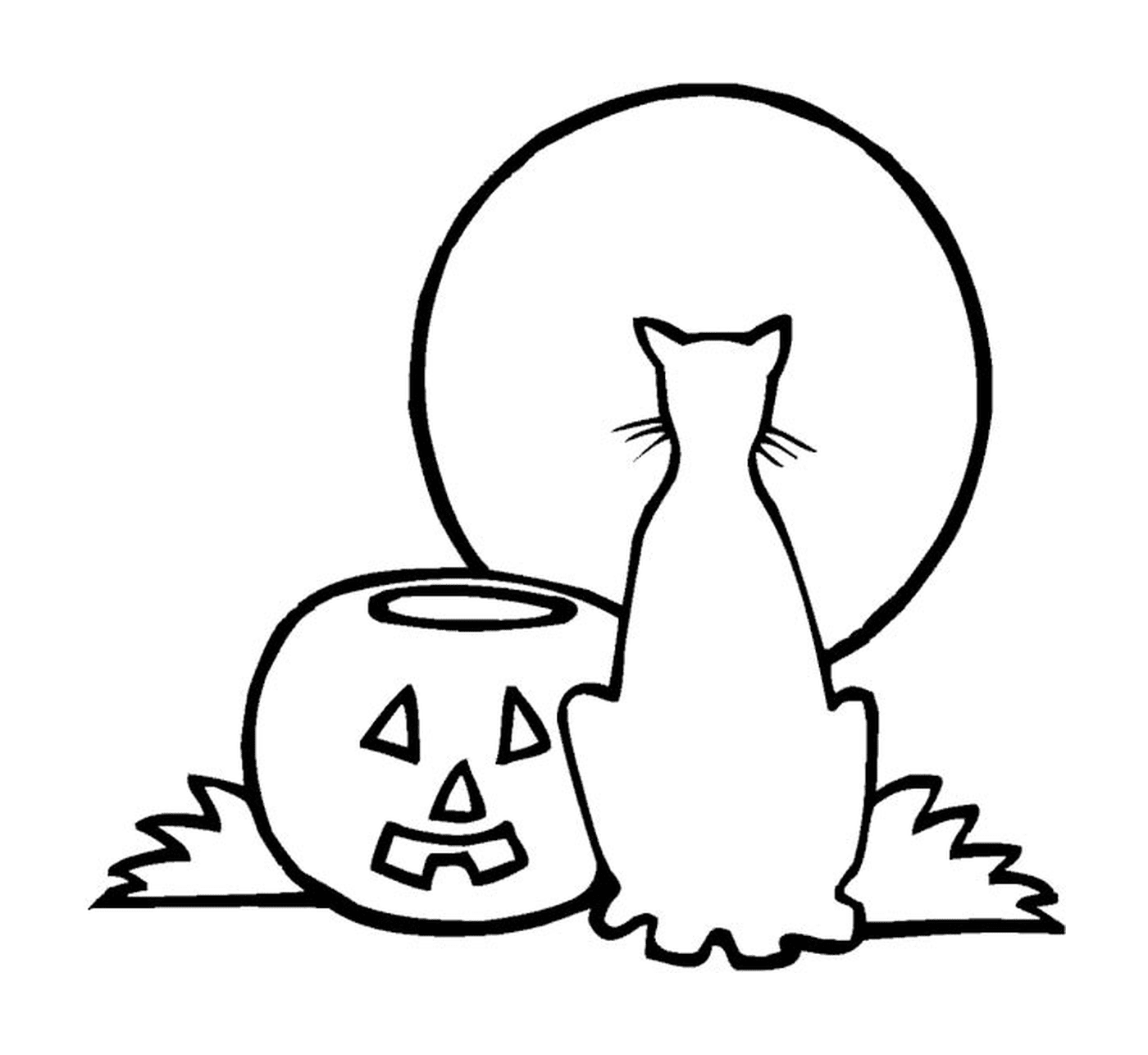 Um gato e uma abóbora para o Halloween 