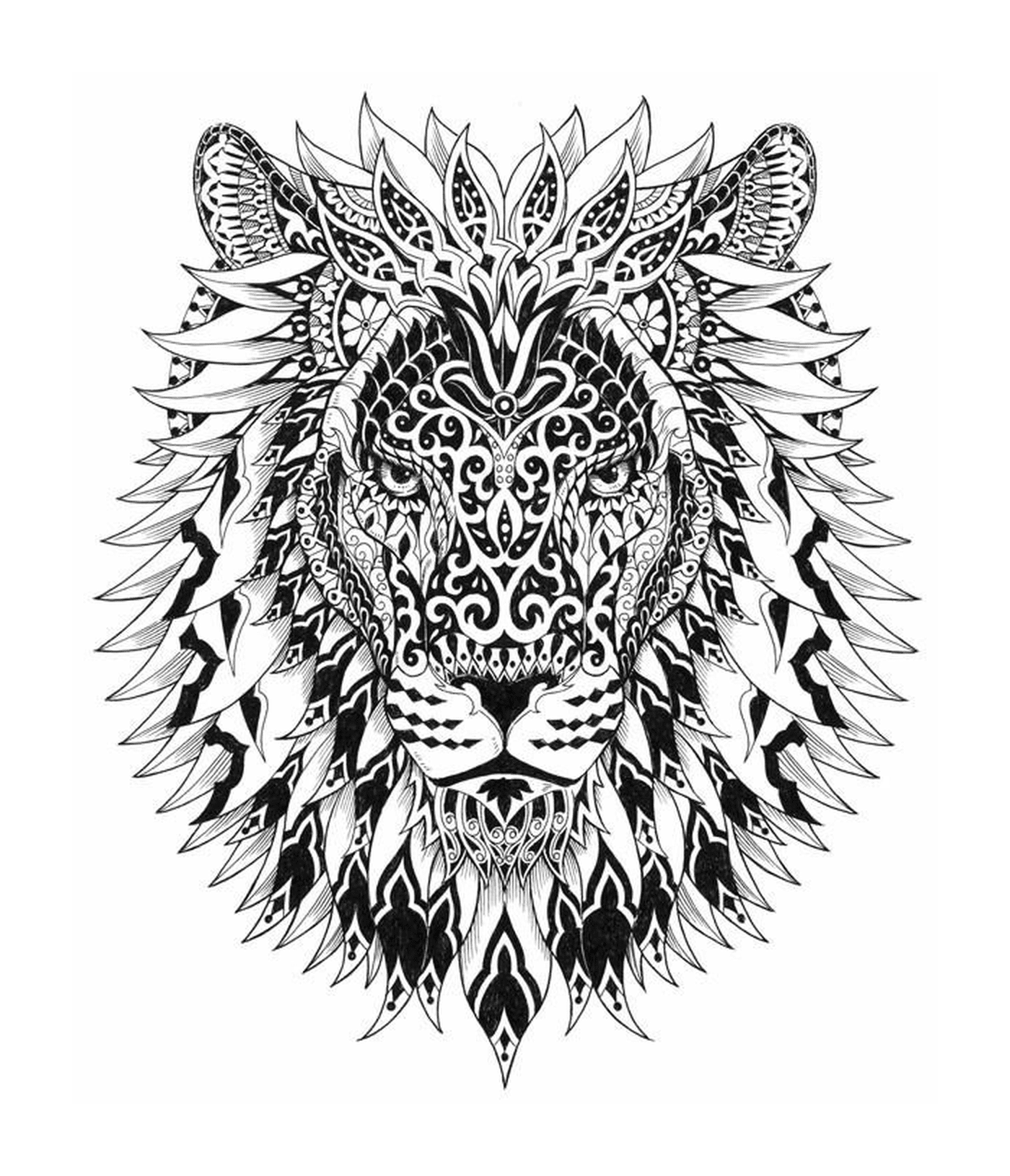  A cabeça de um leão 