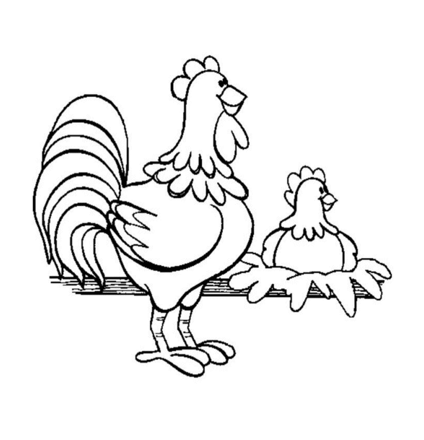  两只鸡被围篱围成两只鸡 