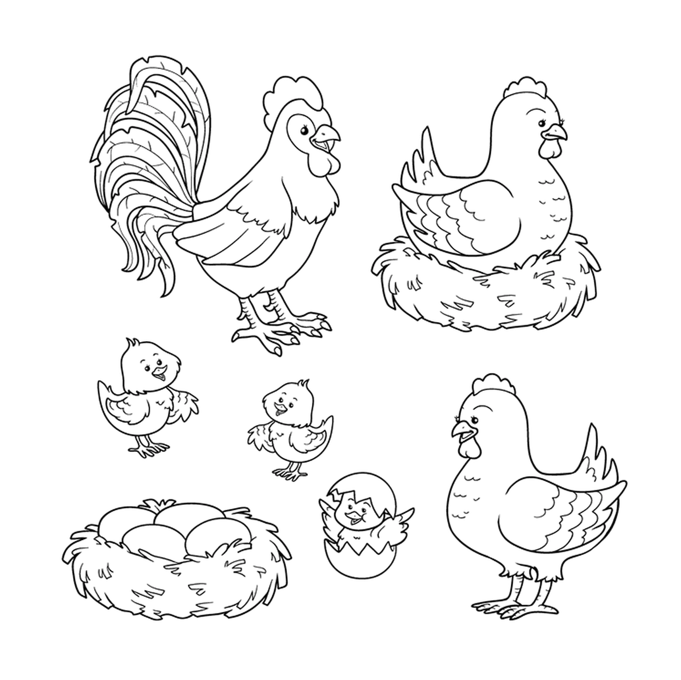  鸡鸡,鸡鸡,鸡鸡,鸡鸡在一起 
