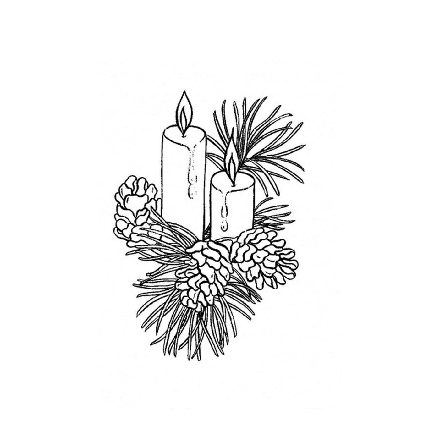  Duas velas acesas em um ramo de pinheiro 