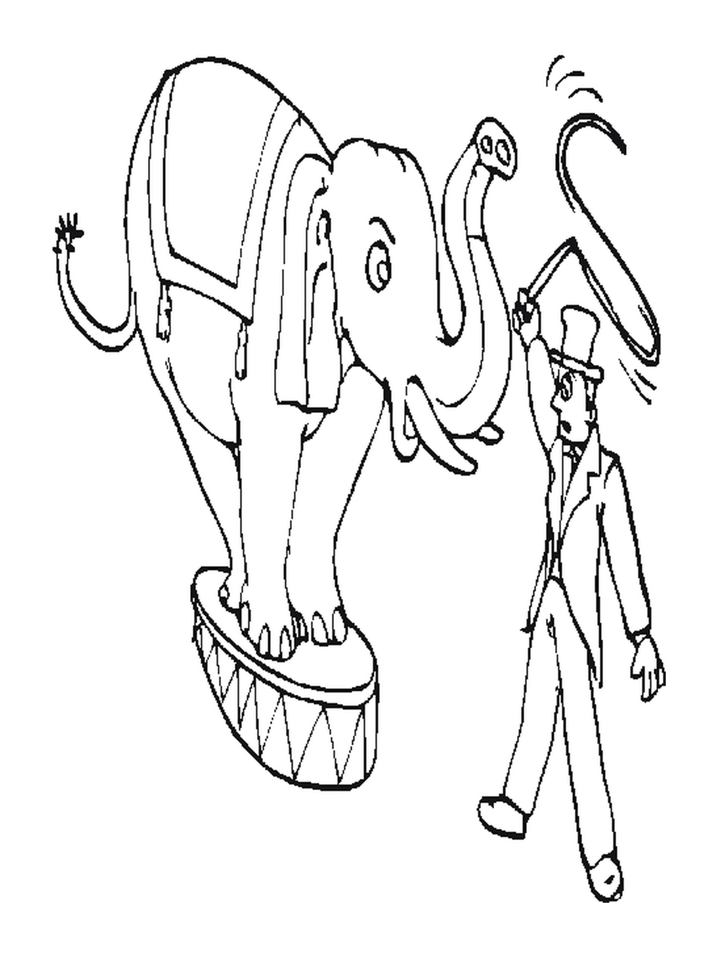  Um treinador com um elefante para o circo 