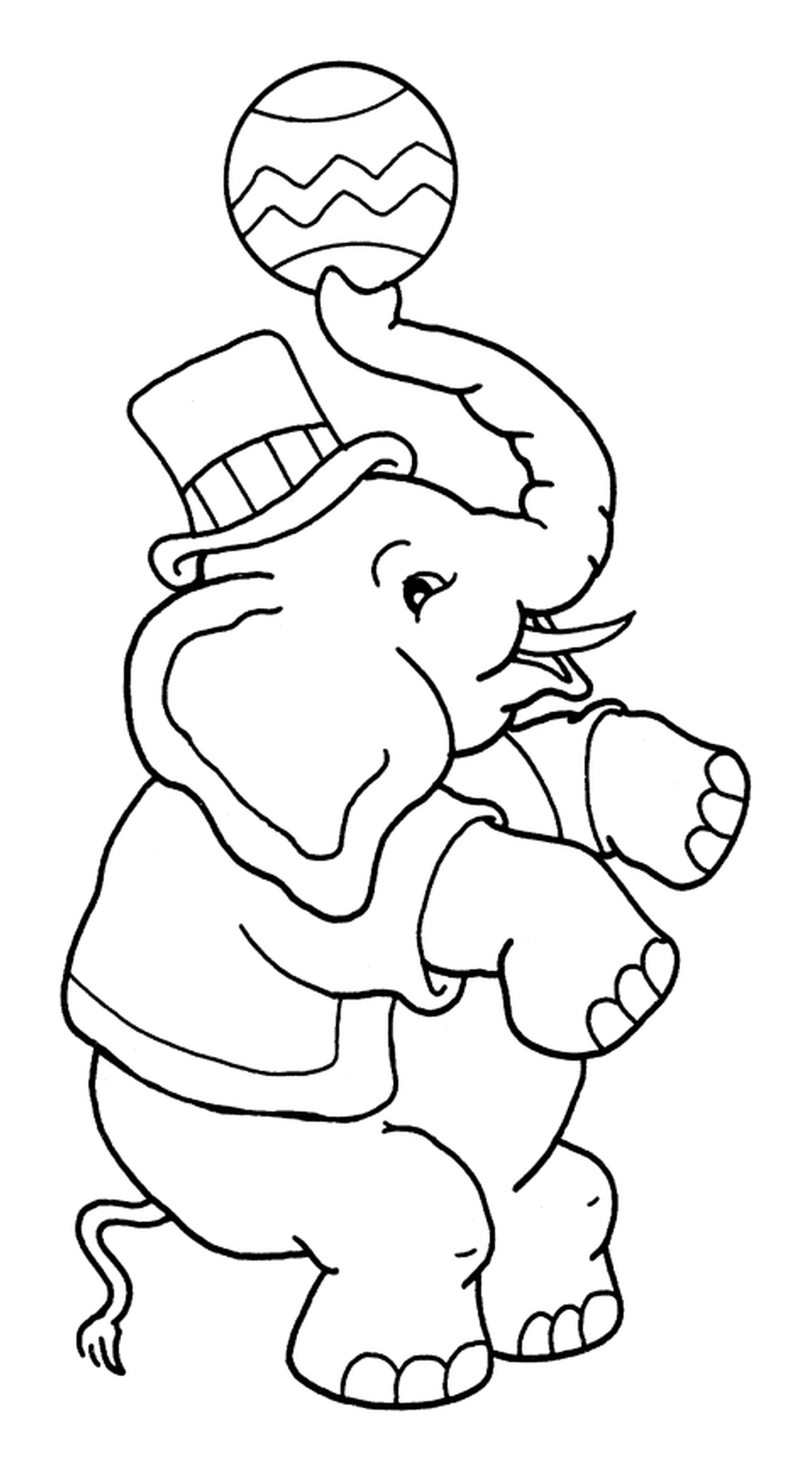  Um malabarista de elefantes para o circo 