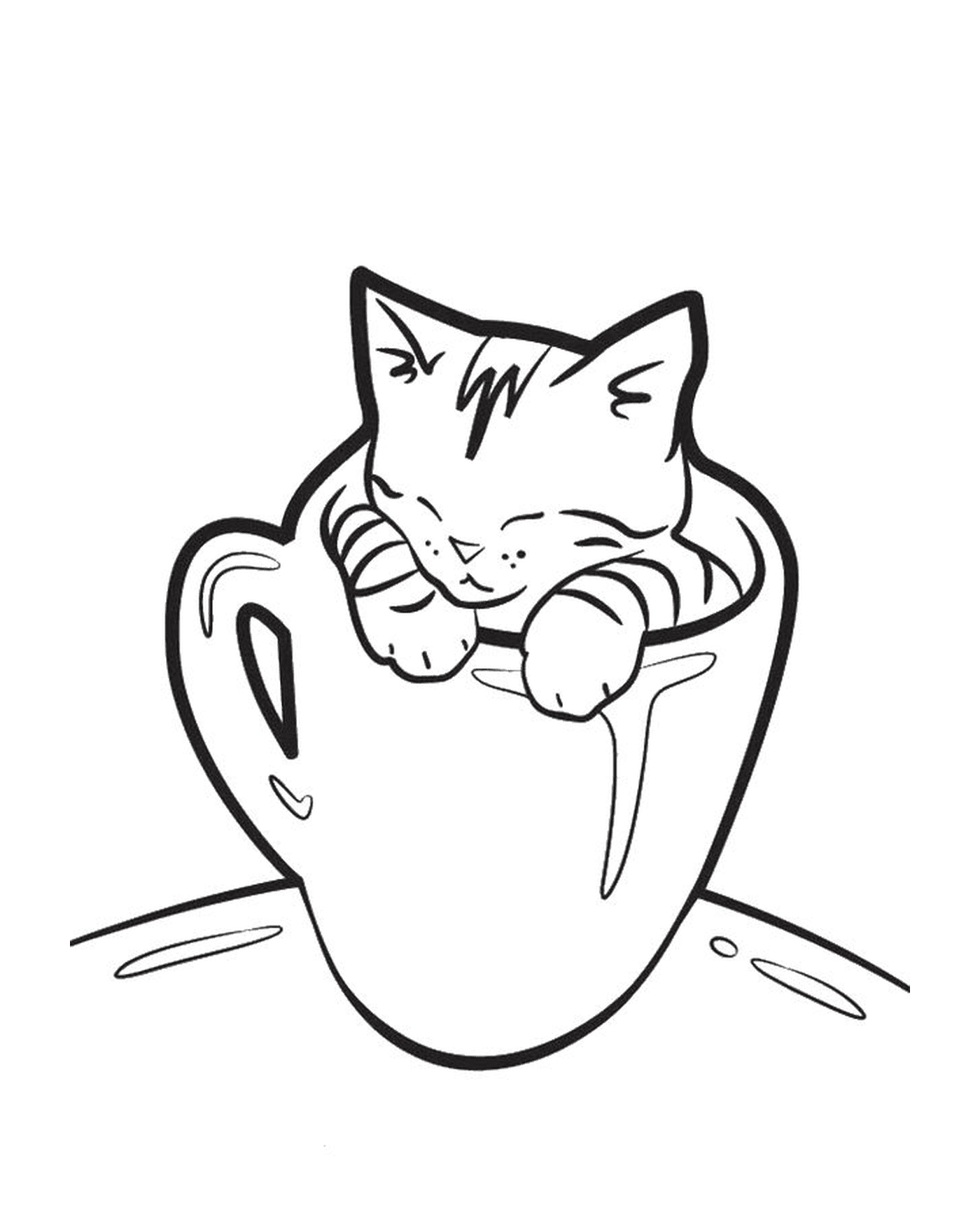  एक अजीब बिल्ली के साथ कॉफी का कप 