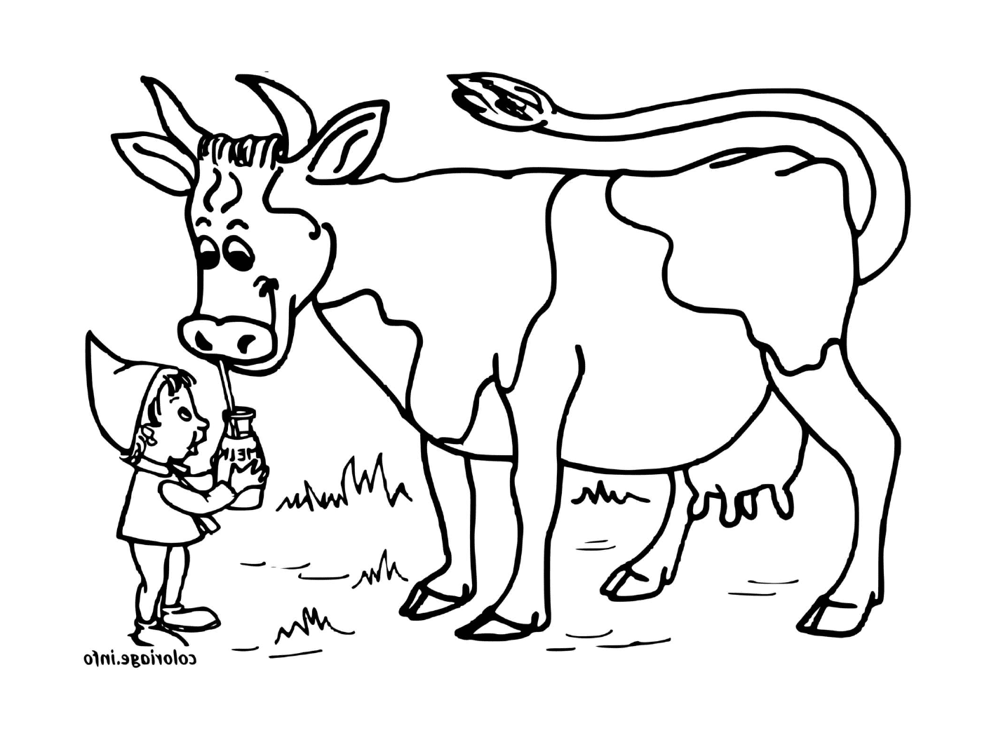  Vaca leite-bebendo 
