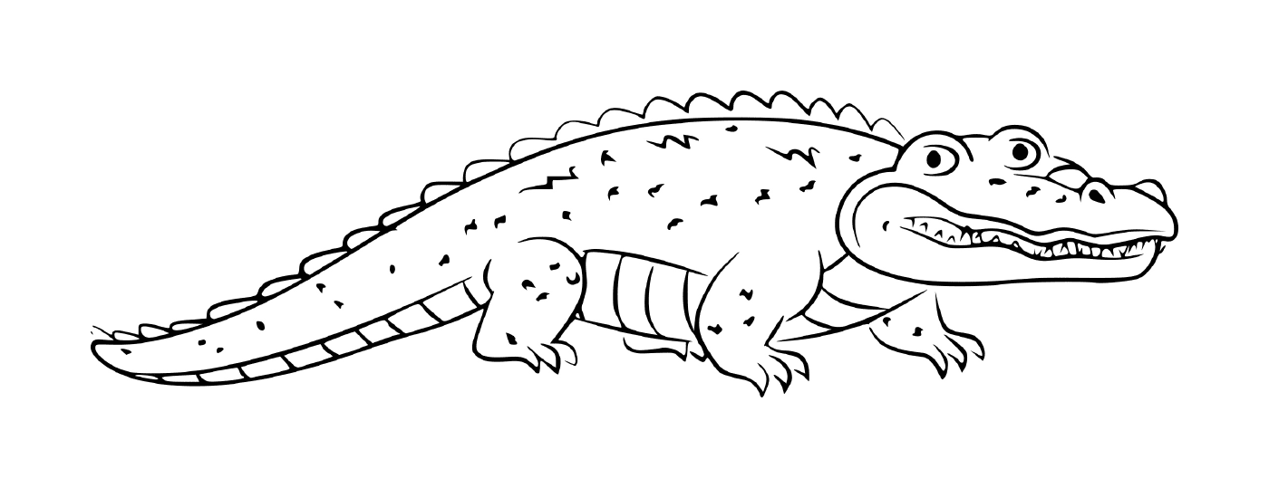  Um crocodilo jacaré com uma aparência próxima à iguana 