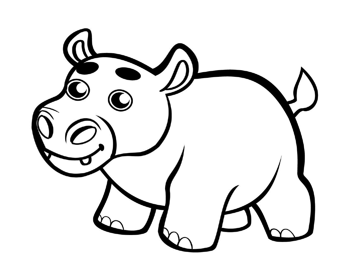  Um bebê hipopótamo 