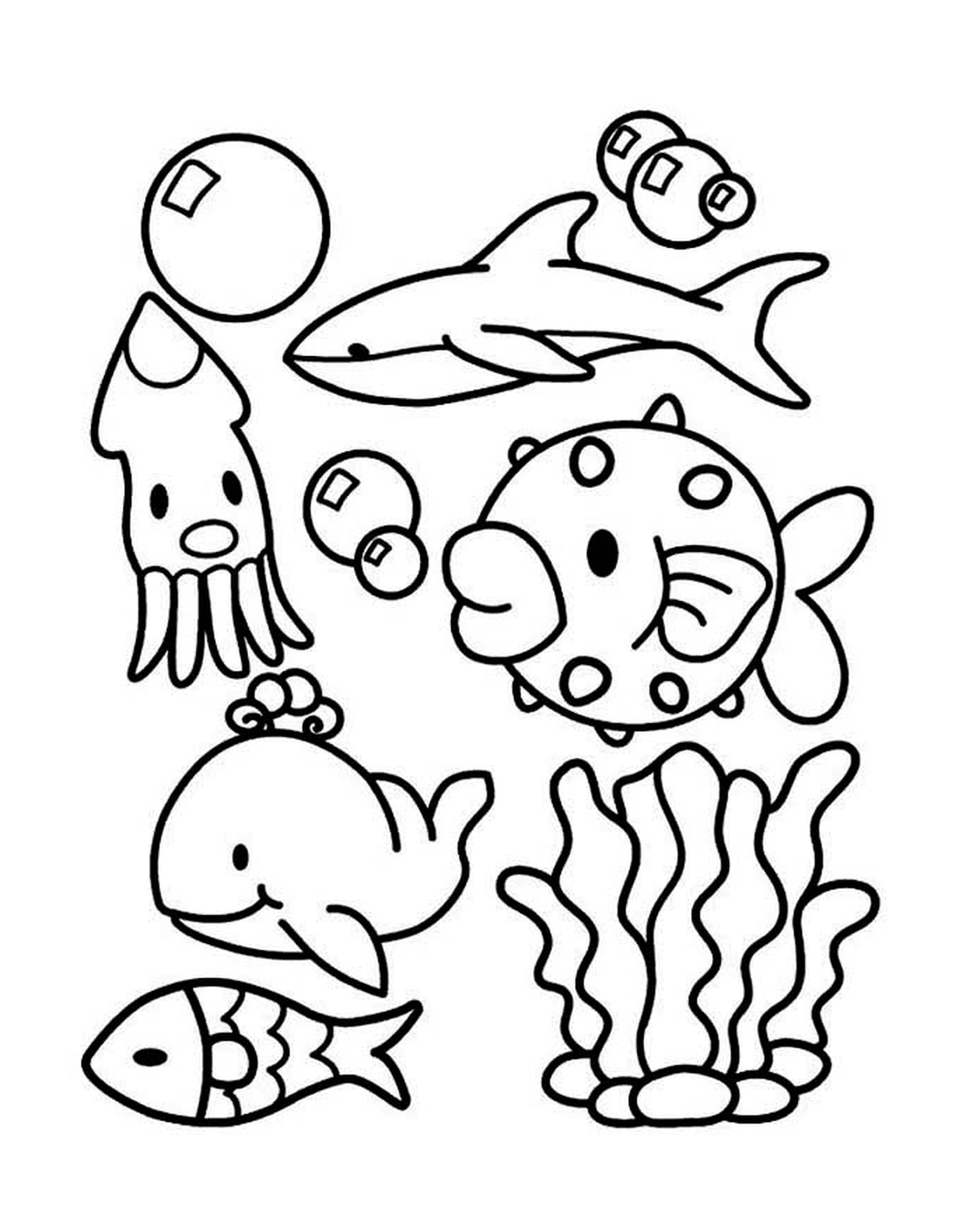  Um grupo de animais marinhos na água 