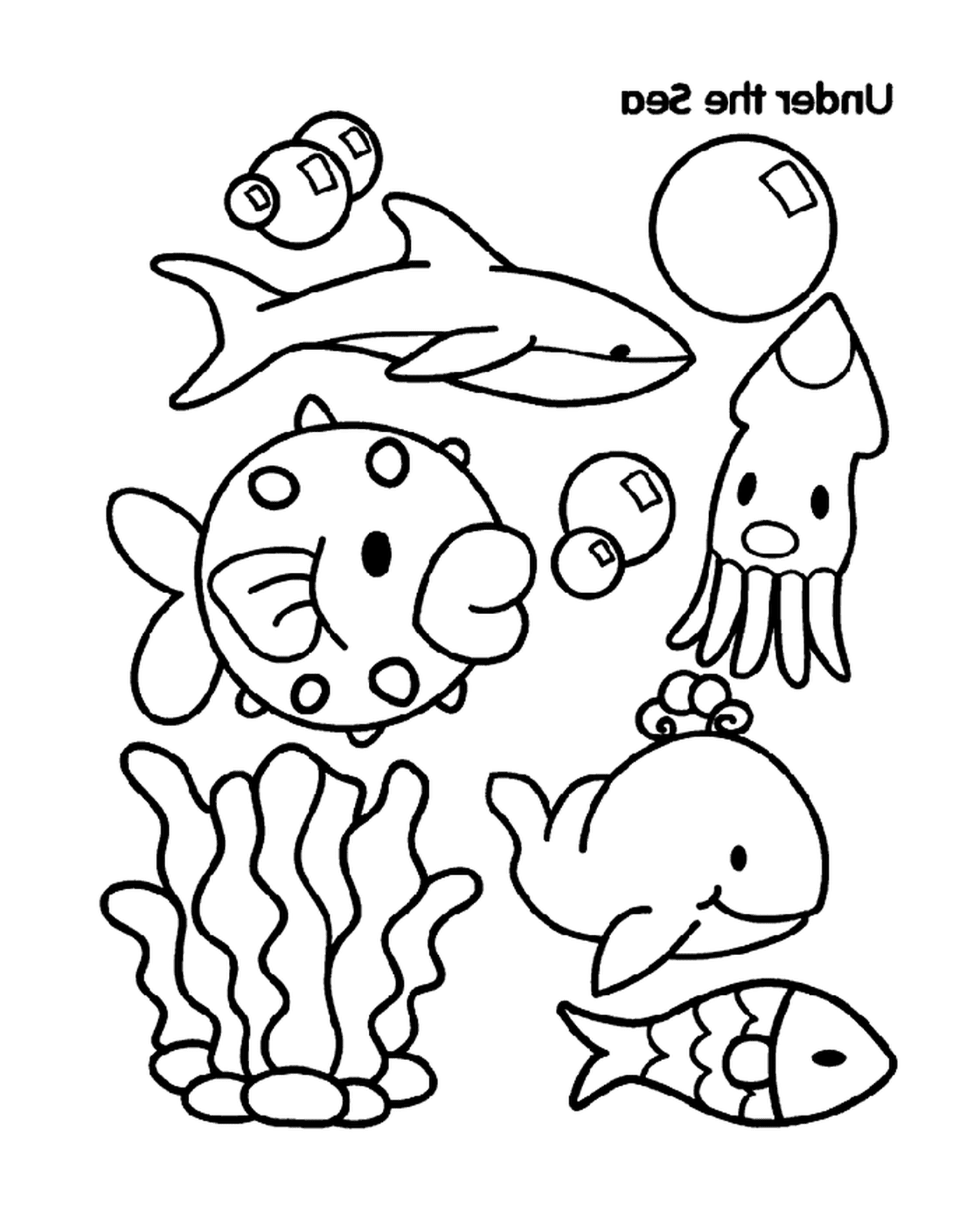  Um grupo de animais marinhos 