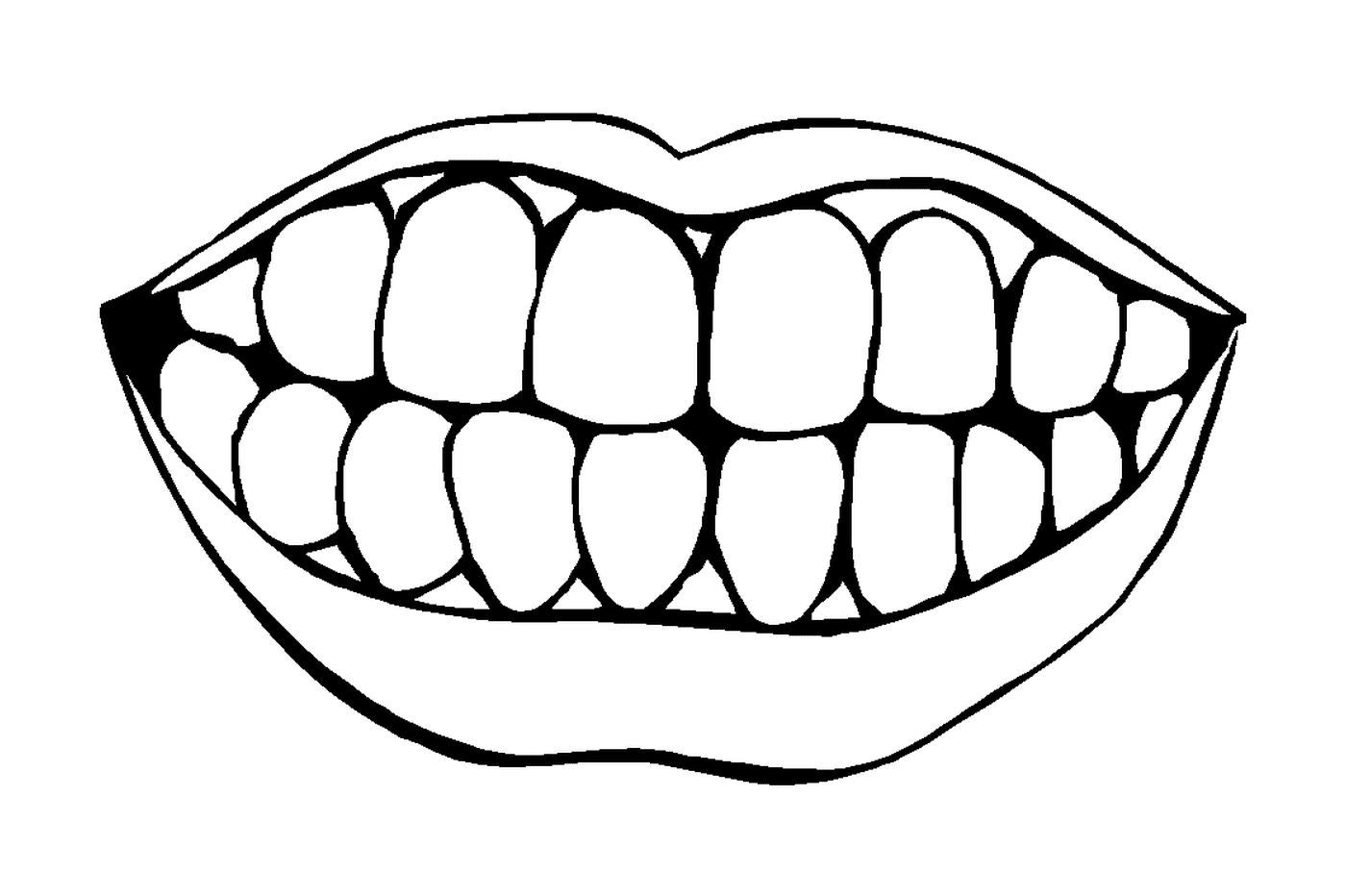  Sorriso e dentes 