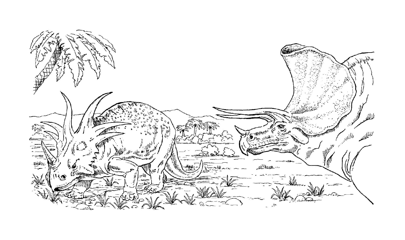 Dois triceratops herbívoros em um campo