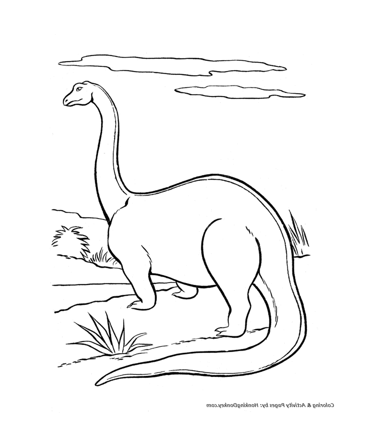  Dinossauro com pescoço longo e pernas longas 