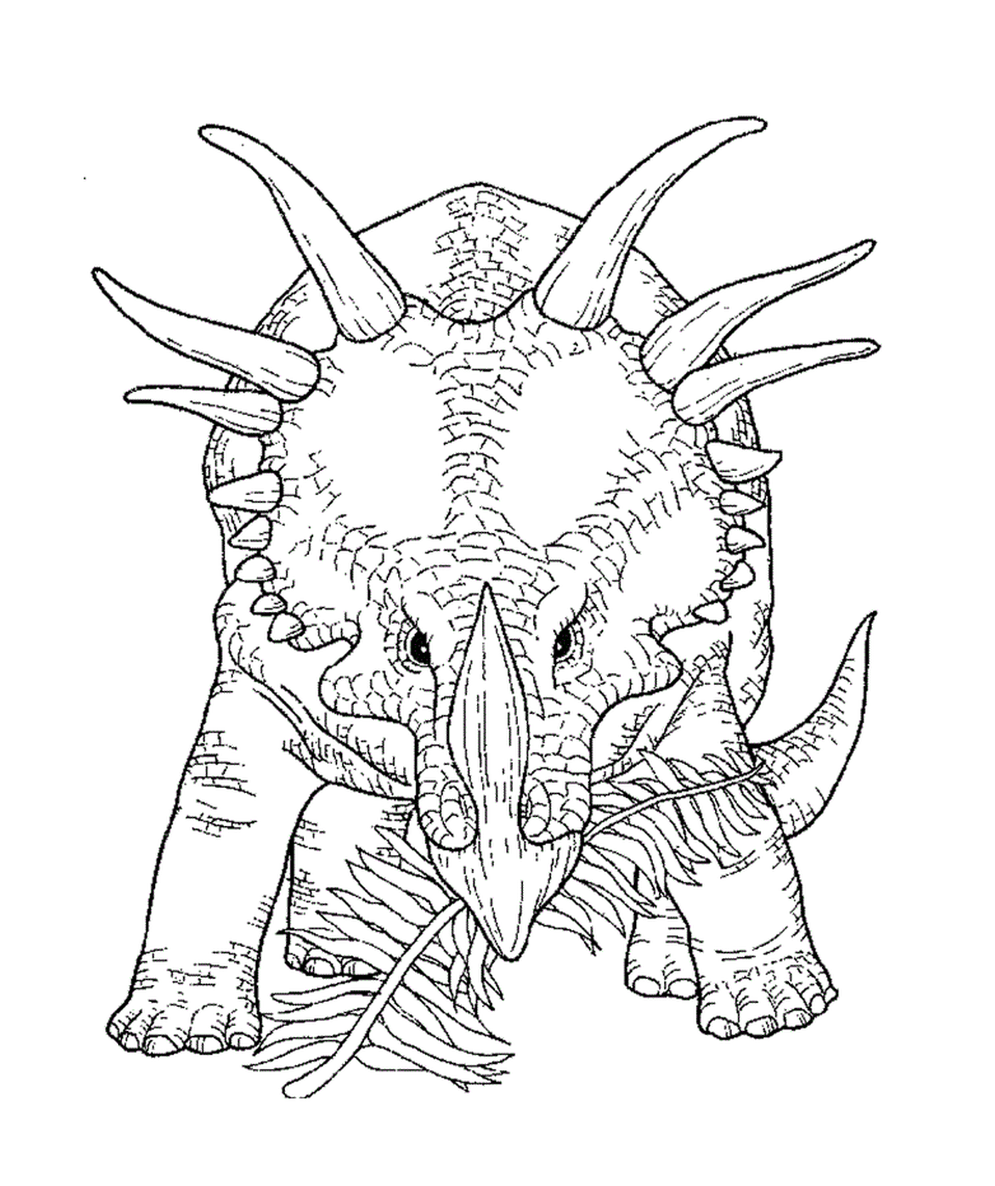  Triceratops adultos em exposição 