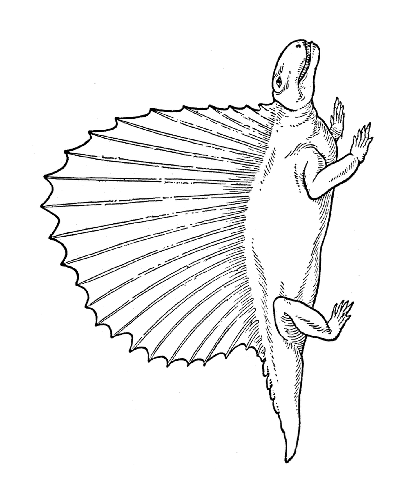 Um lagarto de cauda longa 