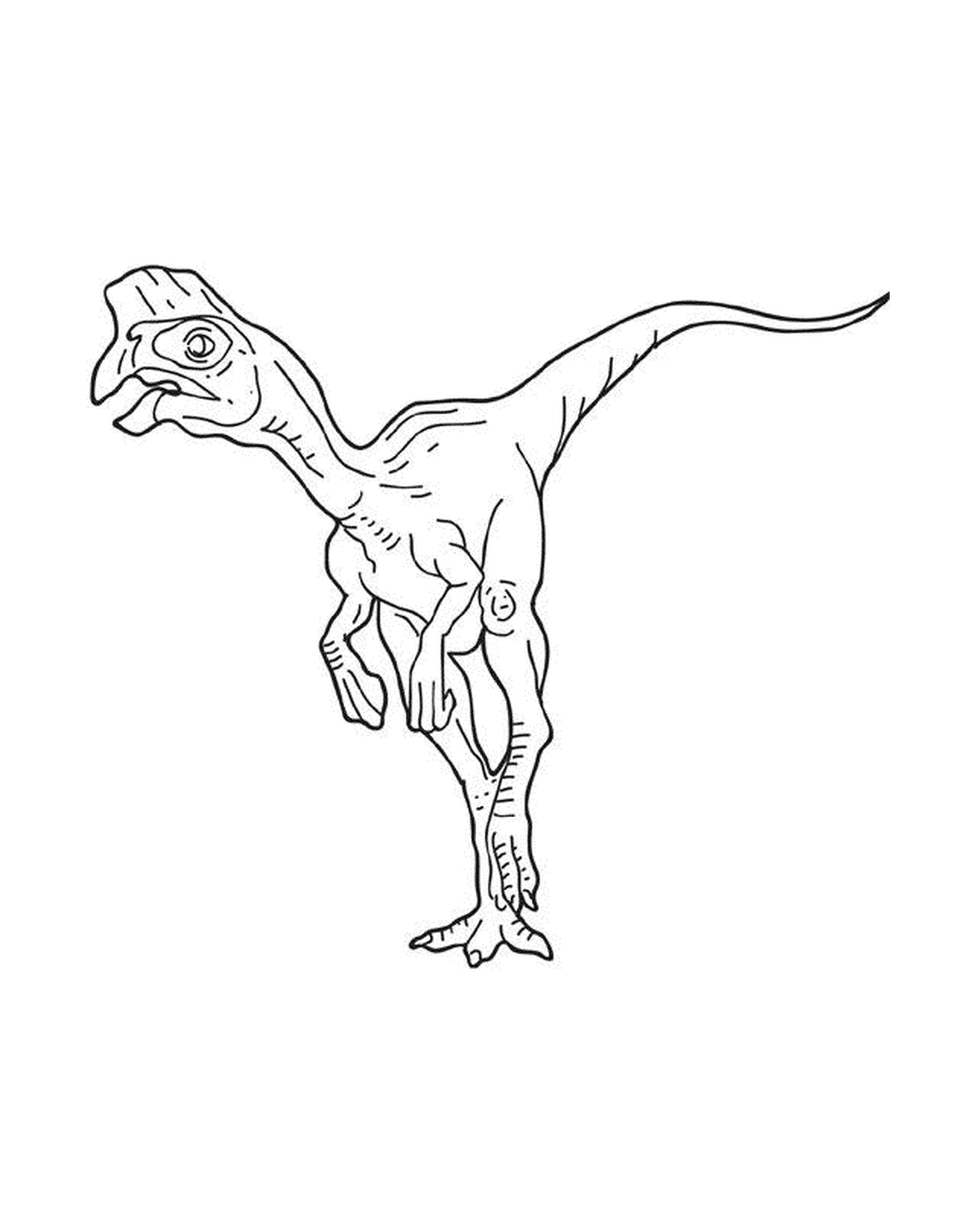  Um dinossauro oviraptor de pé 