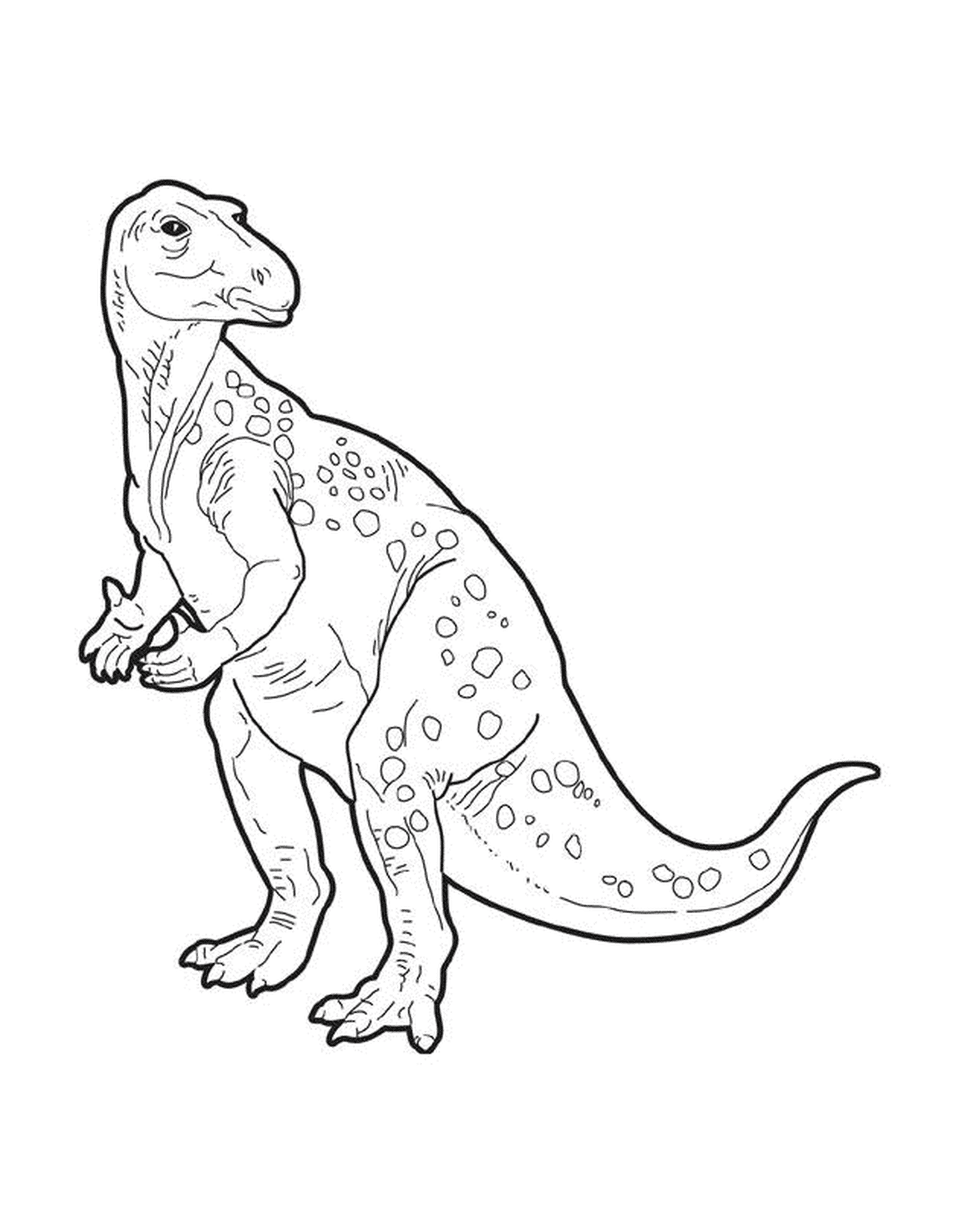  Um adulto t-rex 