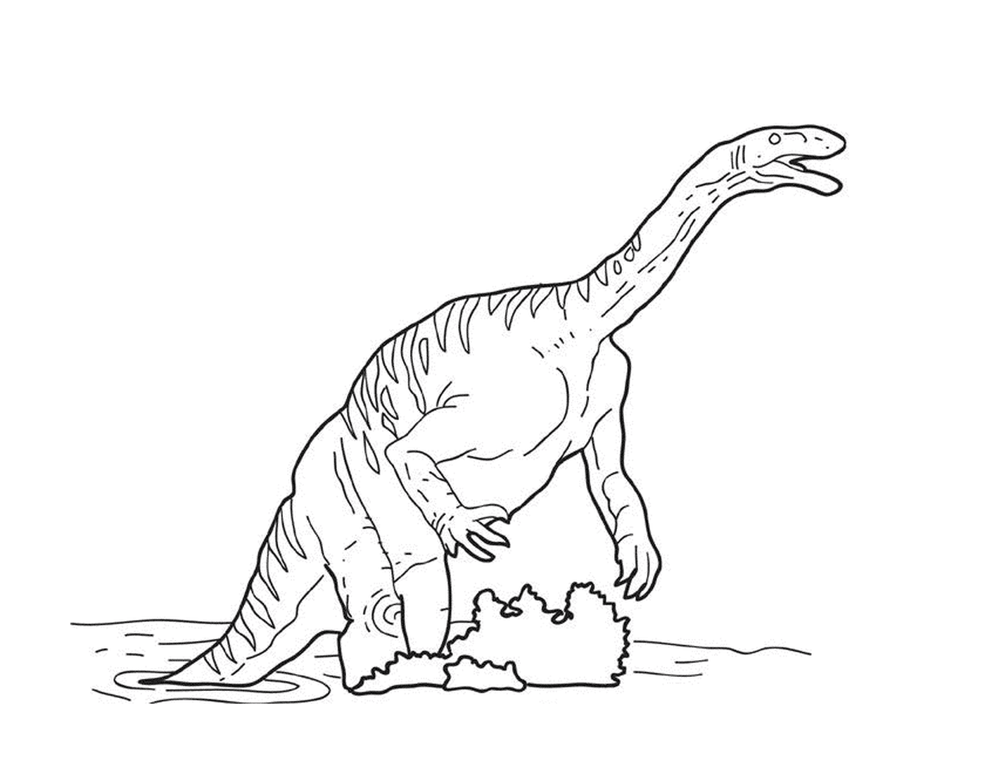  Um dinossauro brincando na água 