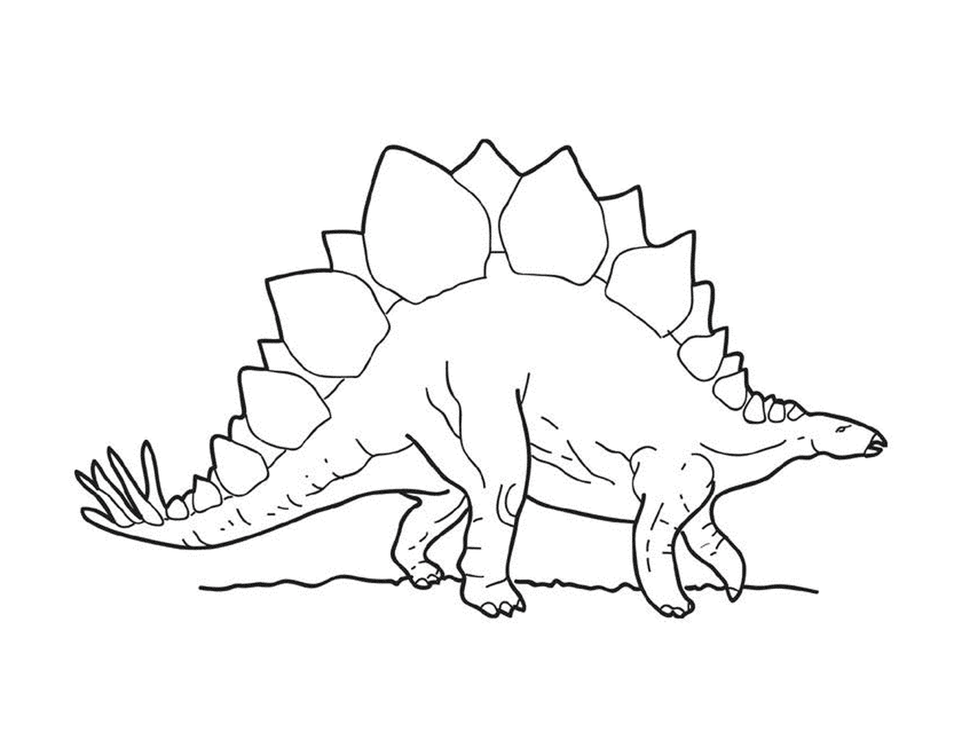  Um stegosaurus de pé 