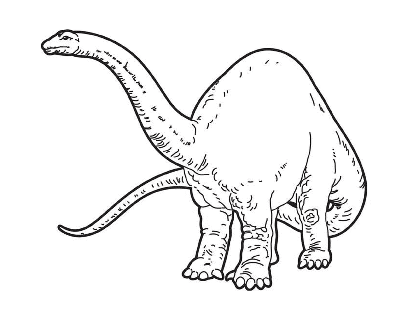  Um dinossauro com uma cauda longa 