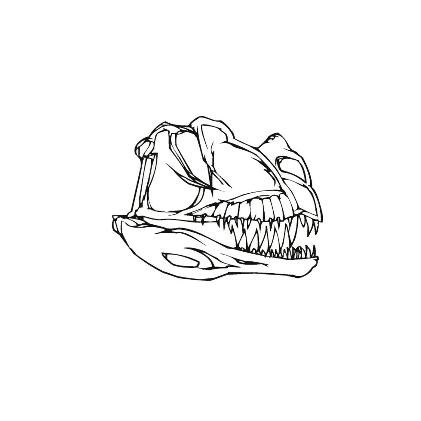  O crânio de um dinossauro com dentes 
