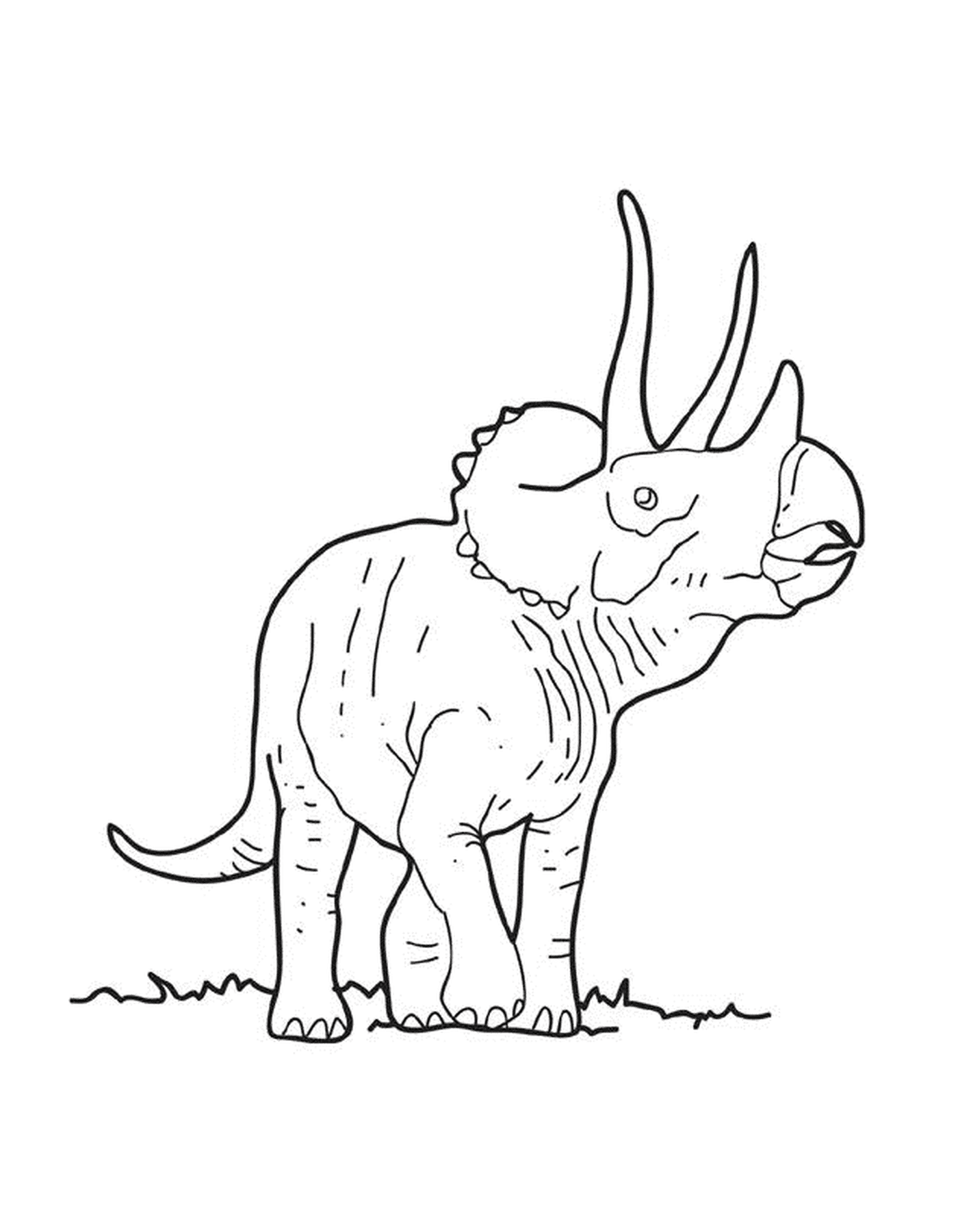  Um triceratops adulto na grama 