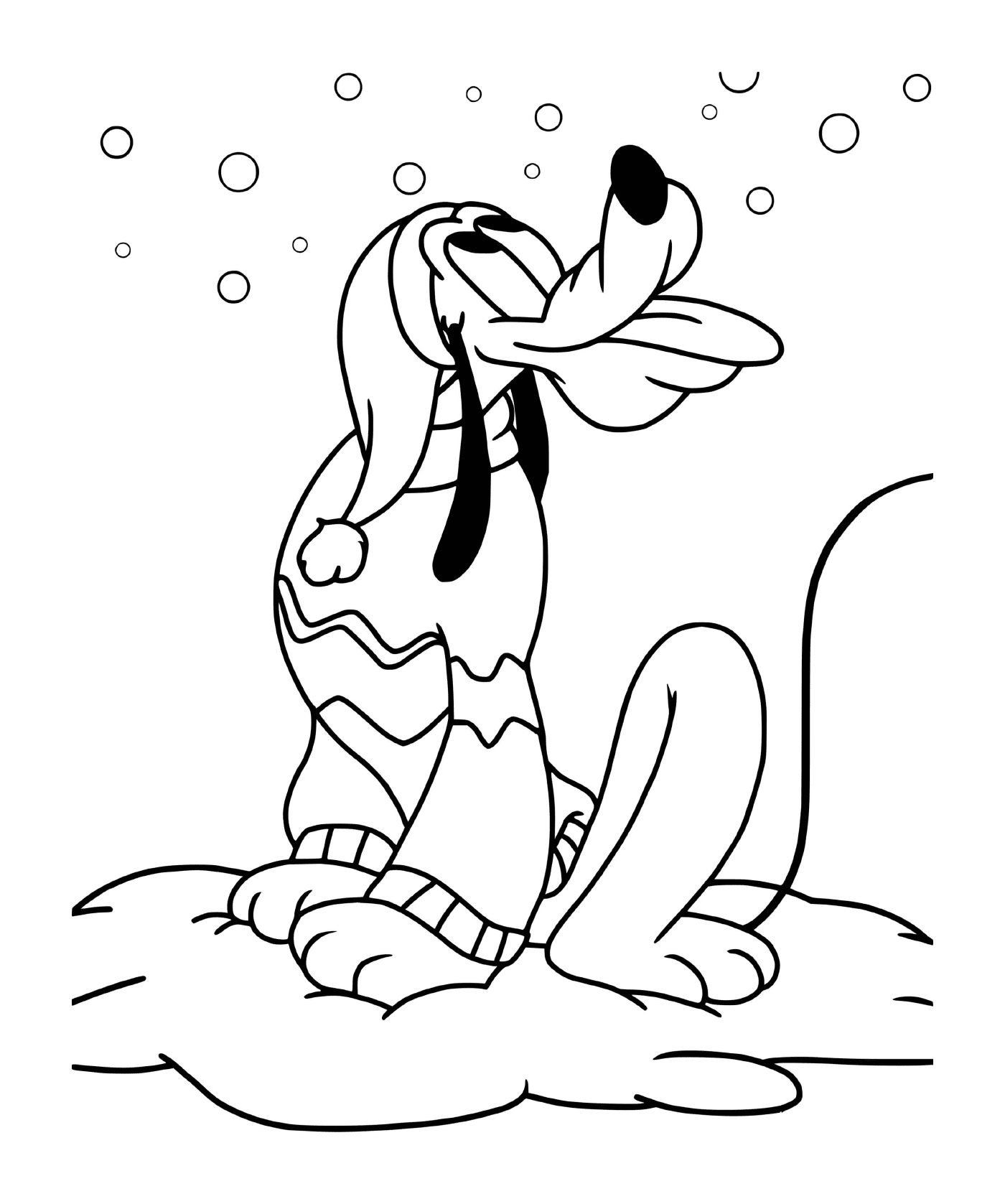  Pluto comendo neve caindo 
