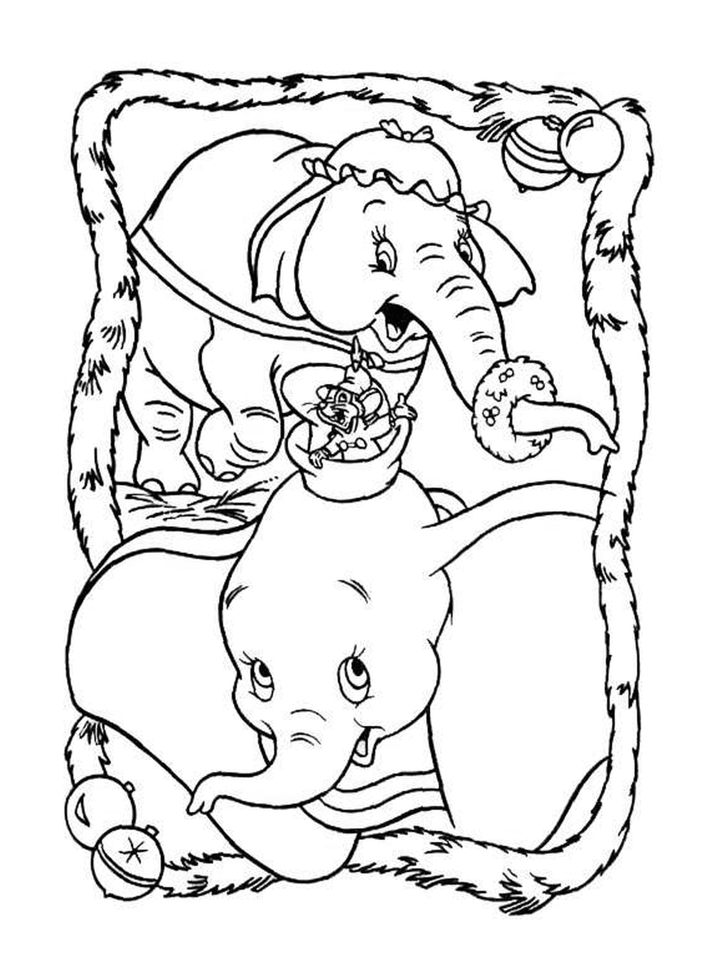  Casal elefante na floresta 