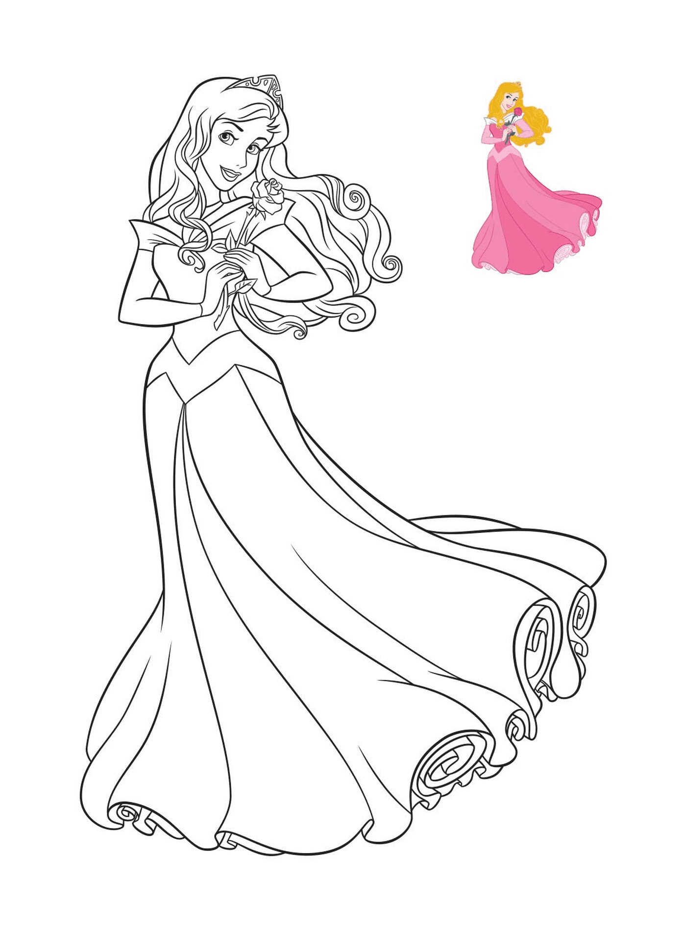  Aurore, uma princesa da Disney 