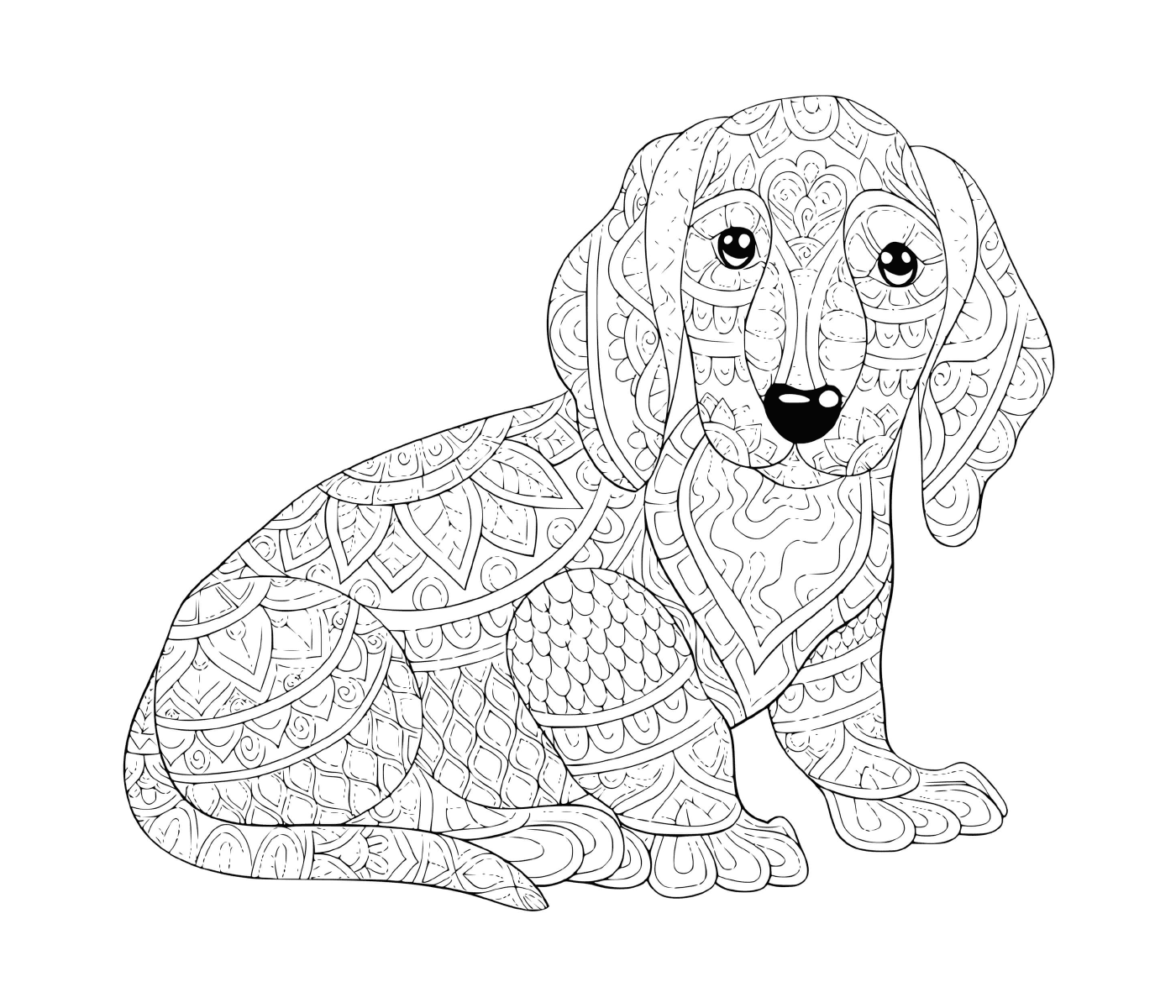  Um alemão Teckel cão salsicha 