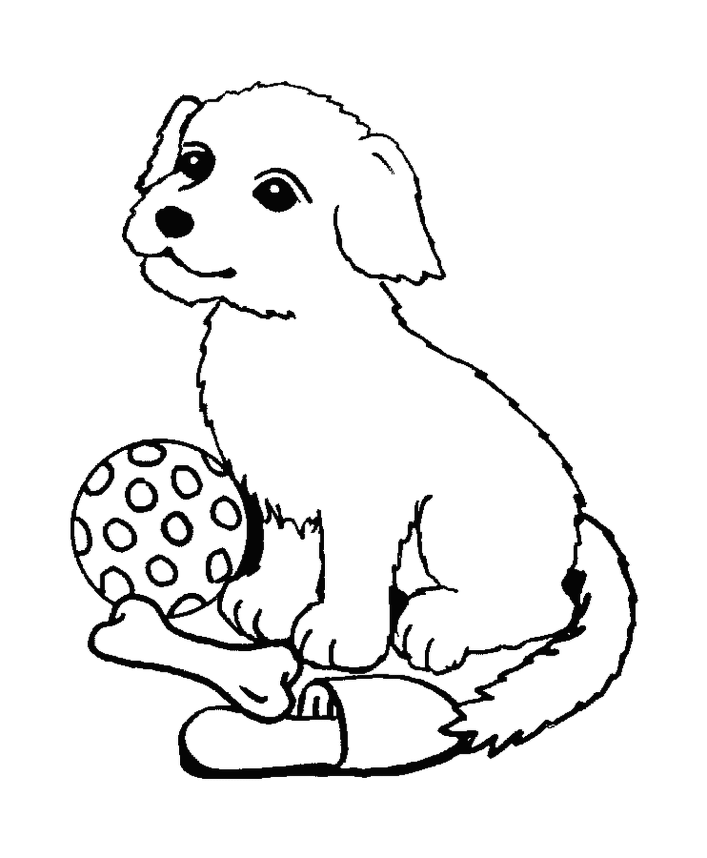  Um modelo de cão de topo com um osso e uma bola 