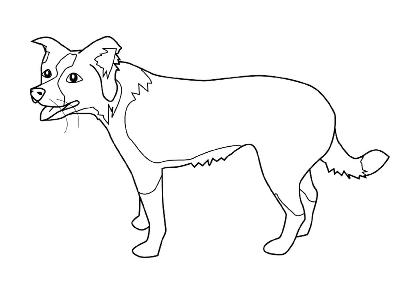  O contorno de um cão em pé sobre suas quatro pernas 