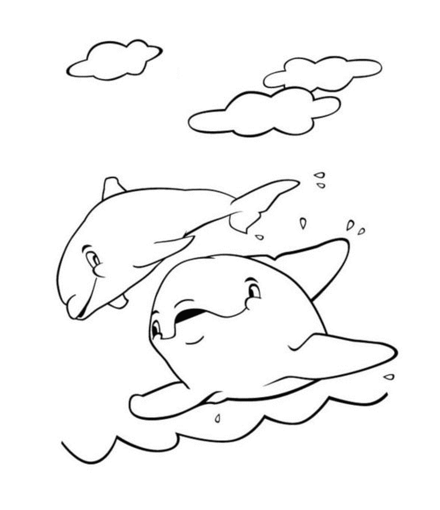  Golfinhos Elegante Natação 