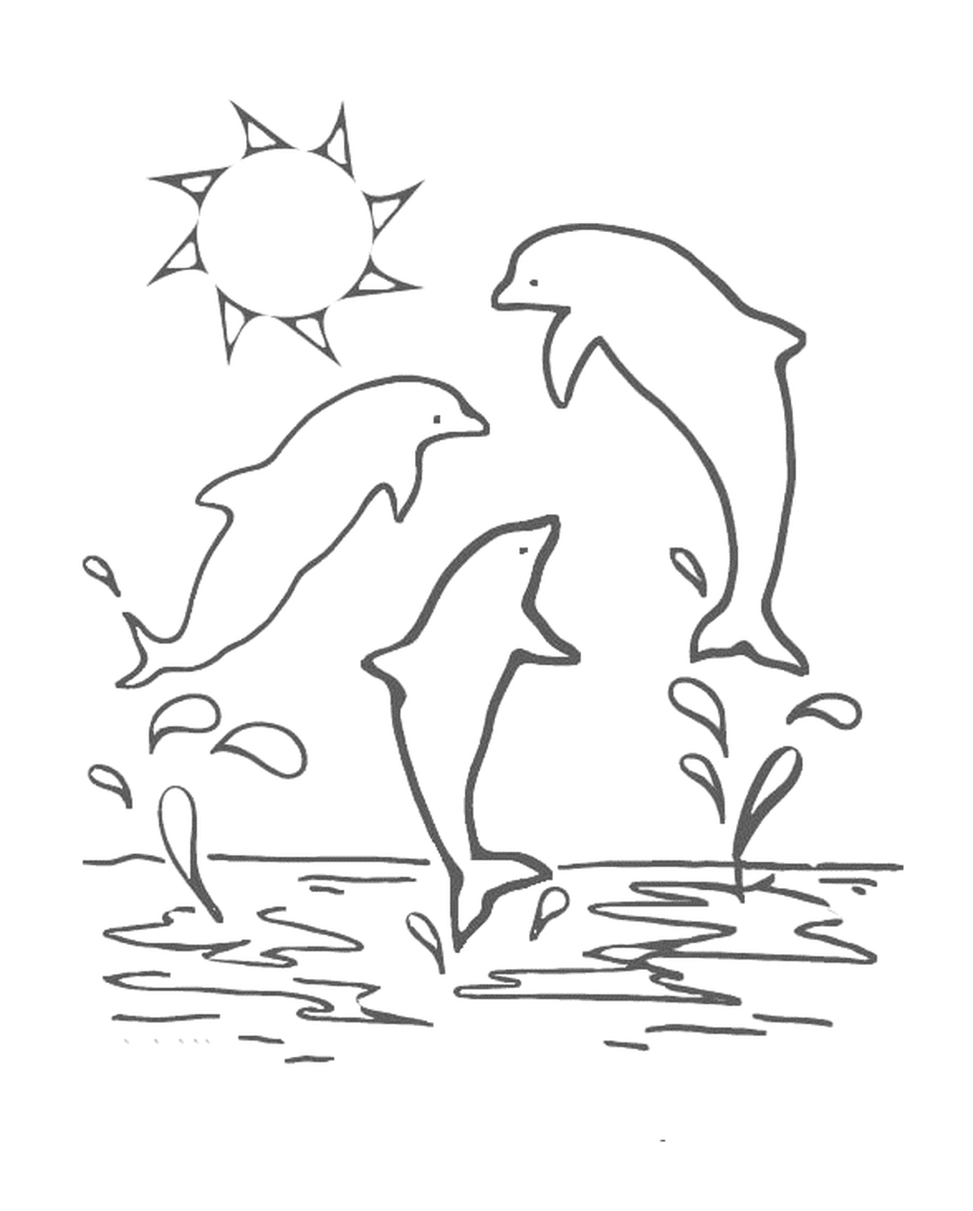  Três Dauphins pulando com um sol 
