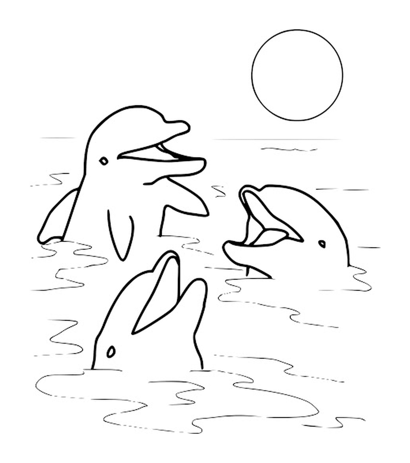  Três golfinhos fora da água, pôr do sol 