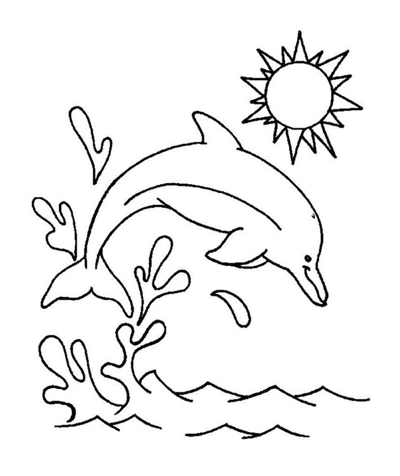  Mergulho de golfinhos na água 