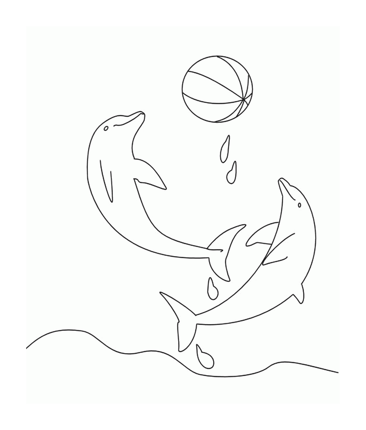  Dois golfinhos brincando com um balão 