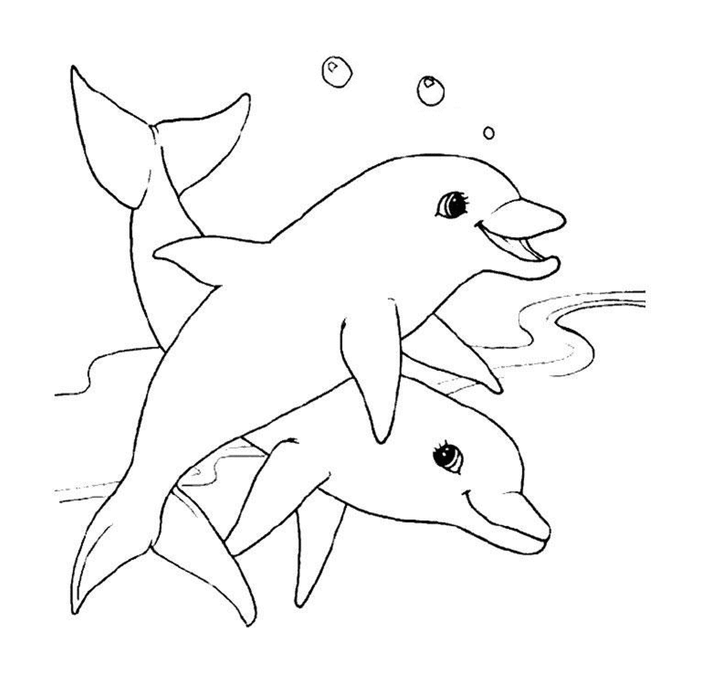  Dois Dauphins Nadando Graciosamente 