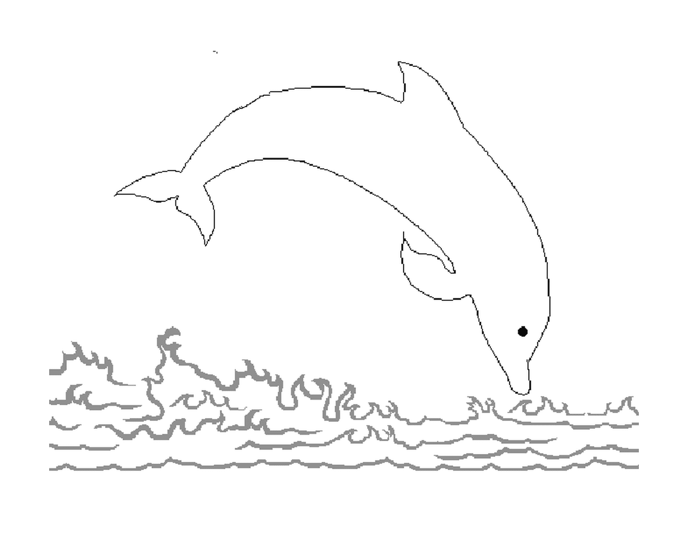  Um golfinho pulando na água 