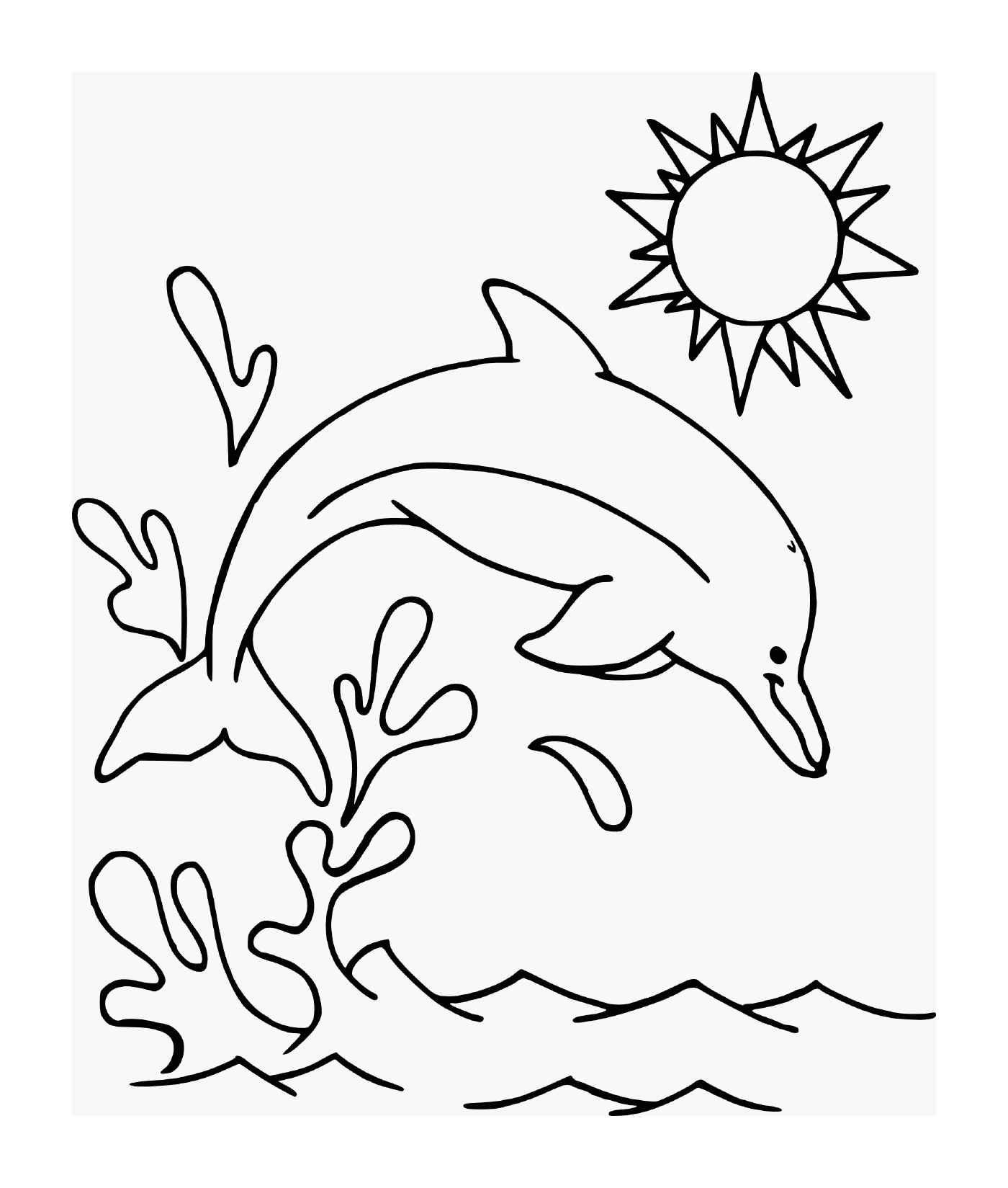  Um golfinho pulando na água sob o sol 