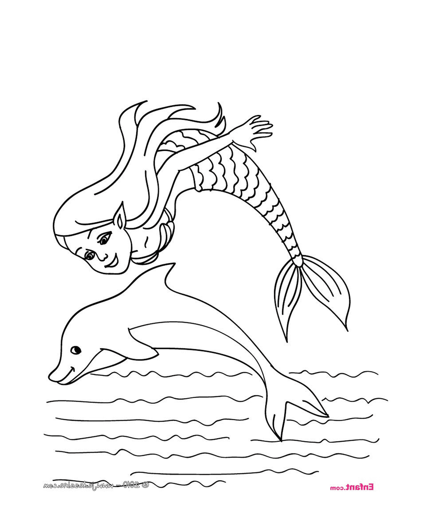  Uma sereia e um golfinho 