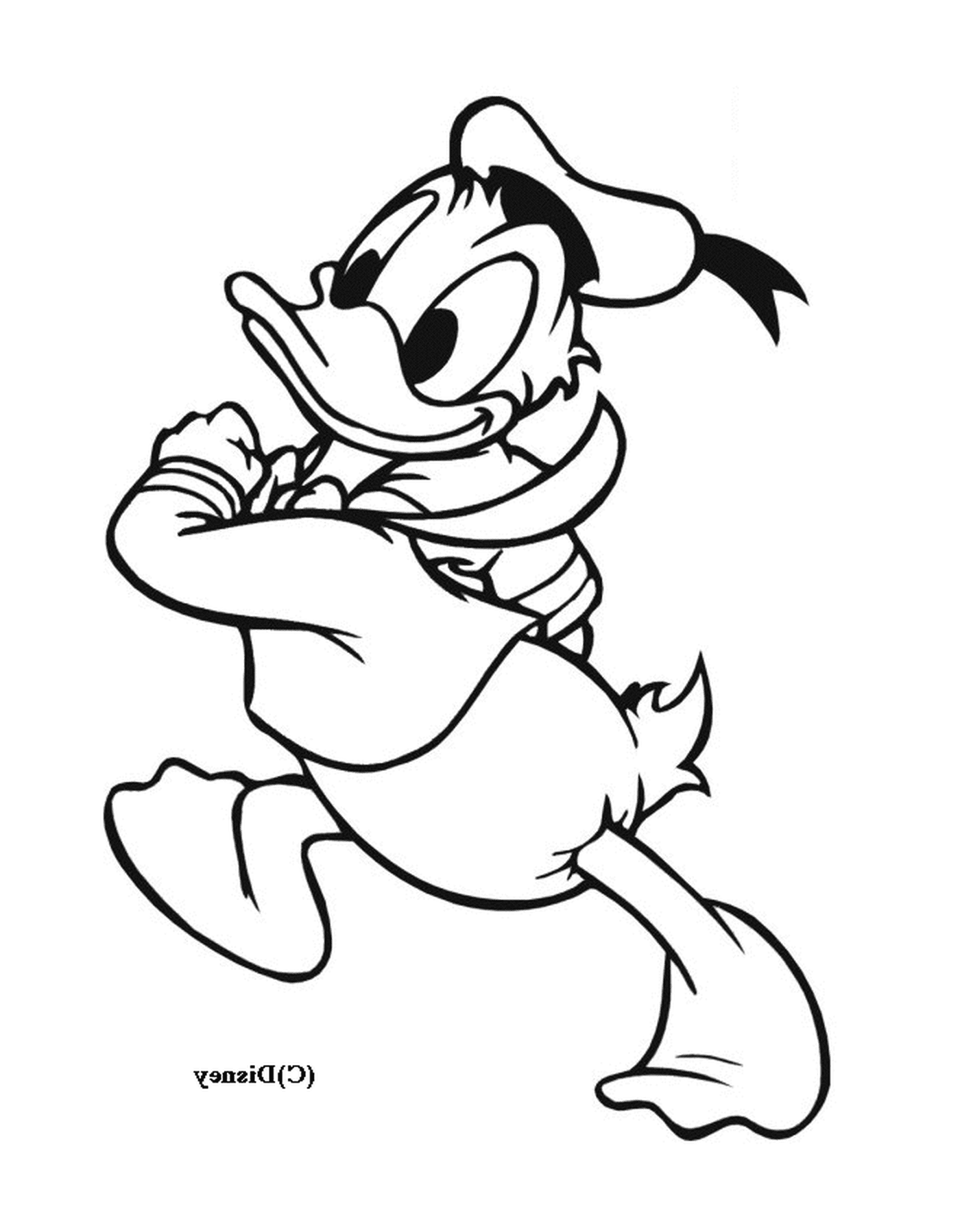  Donald Duck 带着绳子跑得很开心 
