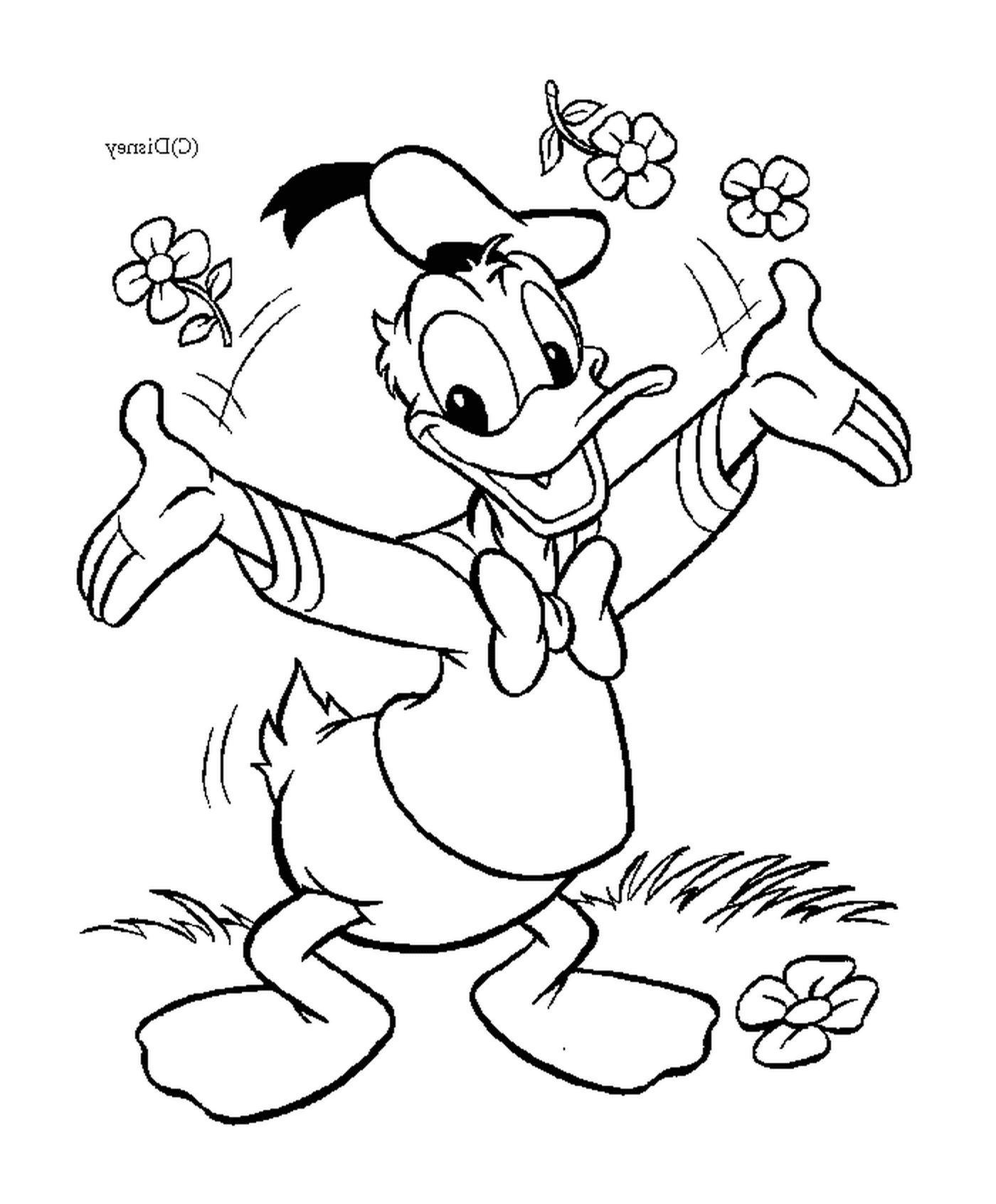  Donald 提供有感情的鲜花 