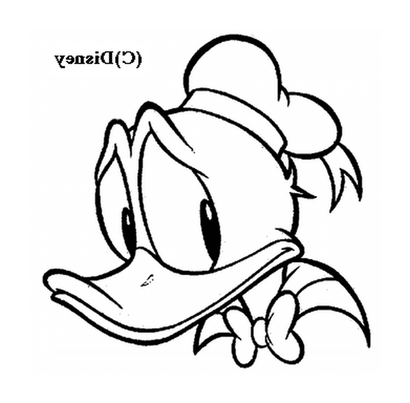  A cabeça expressiva de Donald 