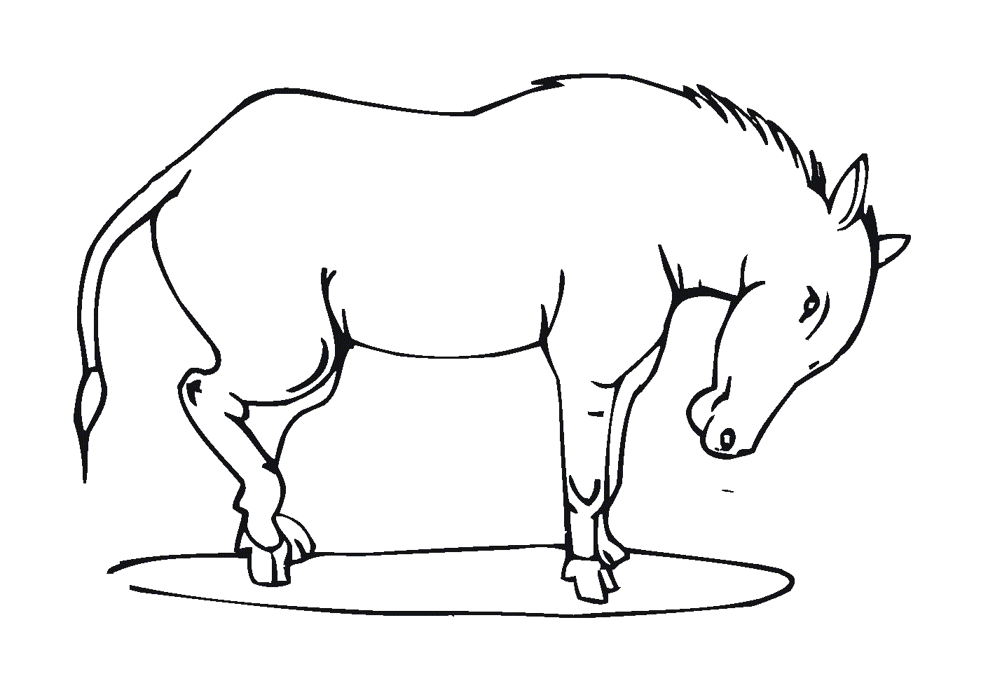  Um cavalo de pé com a cabeça para baixo 